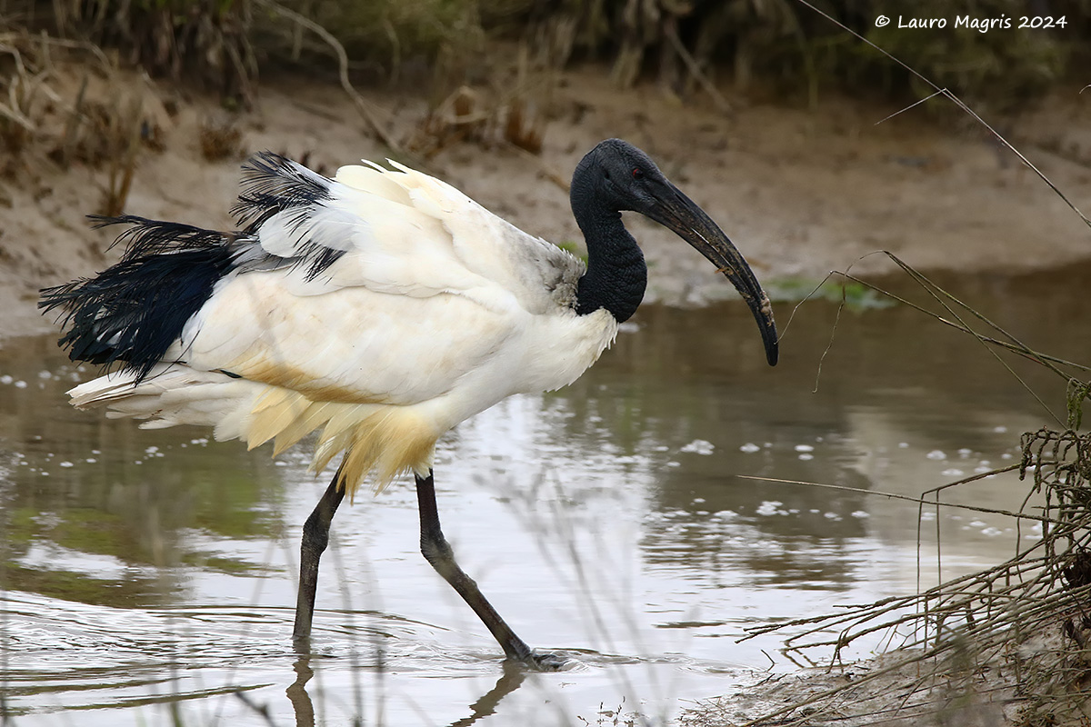 Camminata con classe