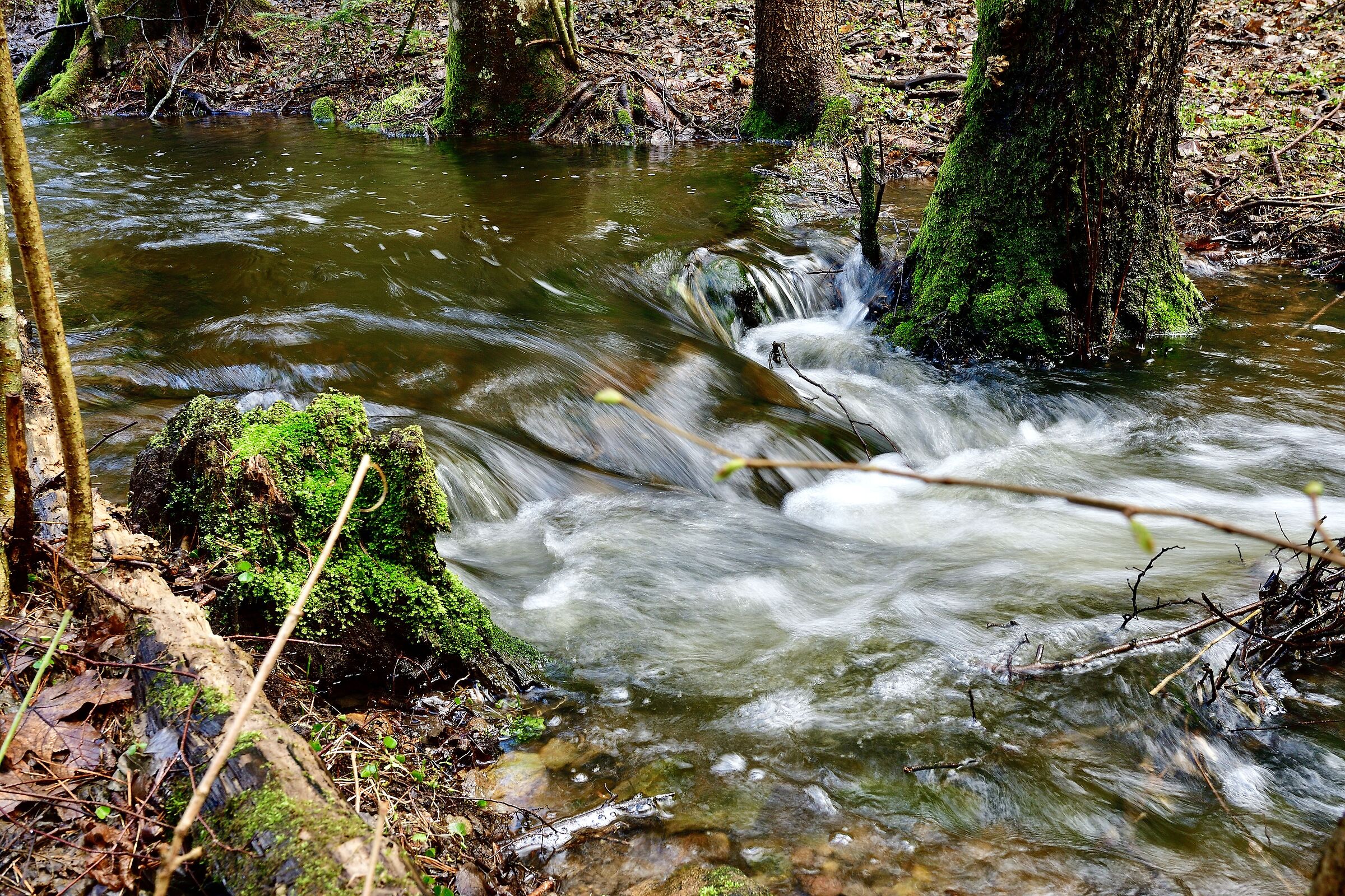 Biotipo di Laghestel