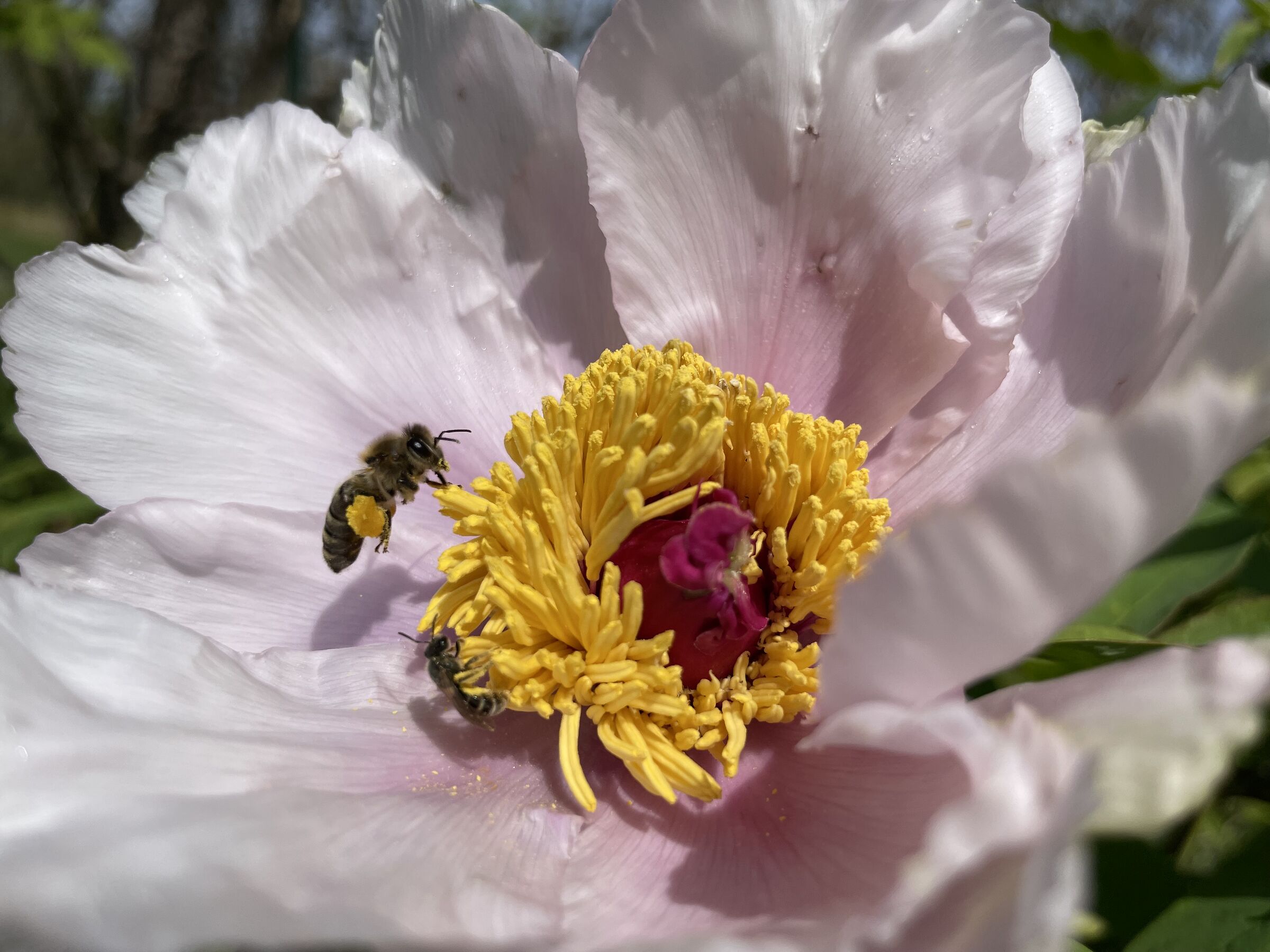 when you only have your phone.... ?