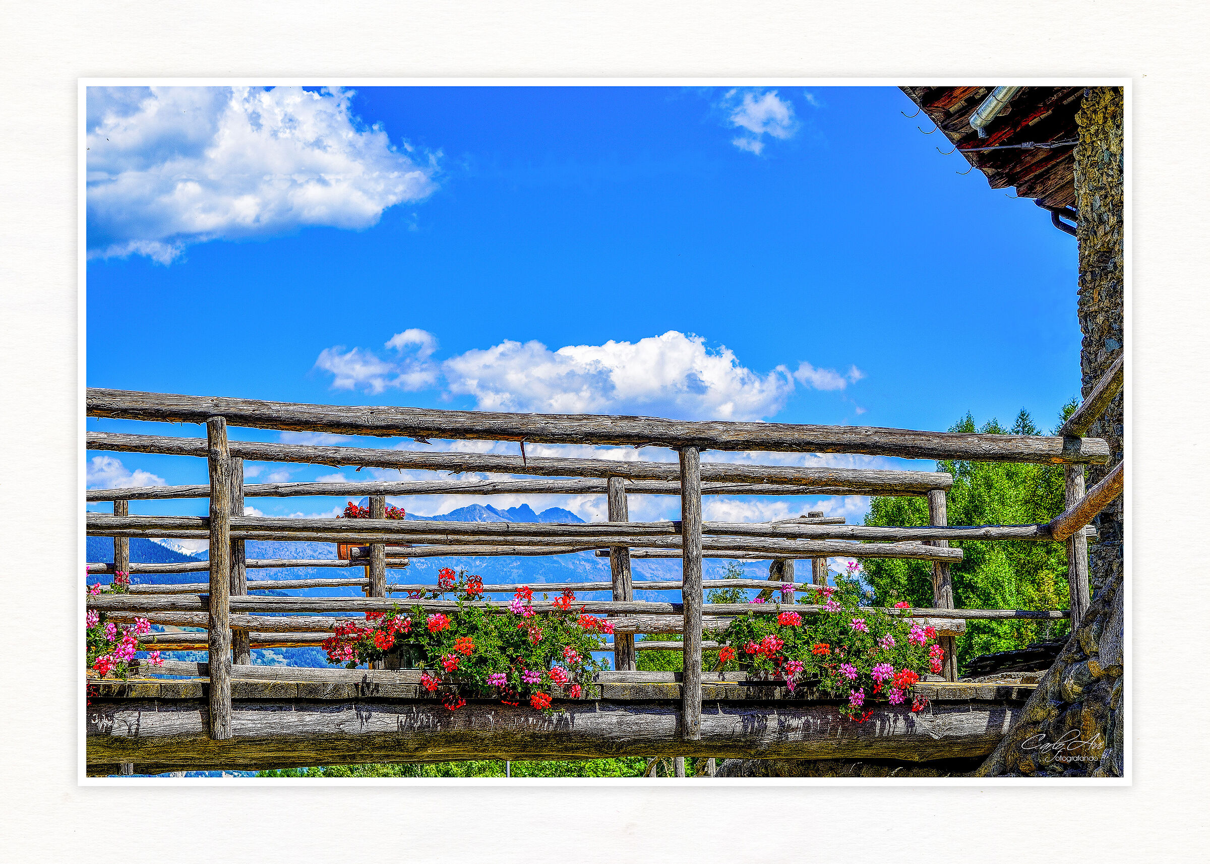 ... A postcard