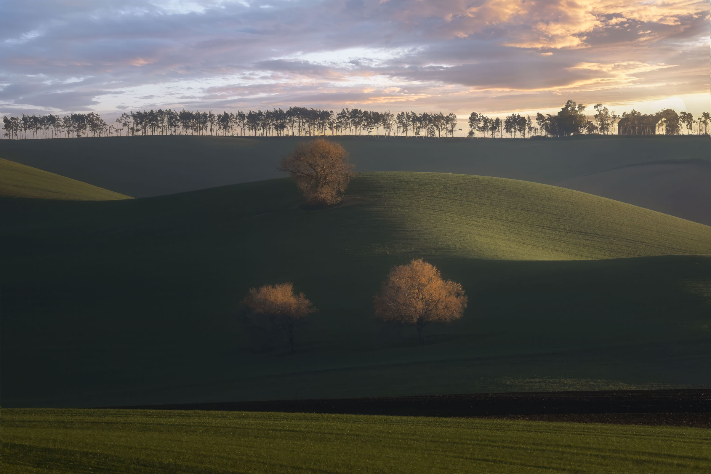 le belle giornate