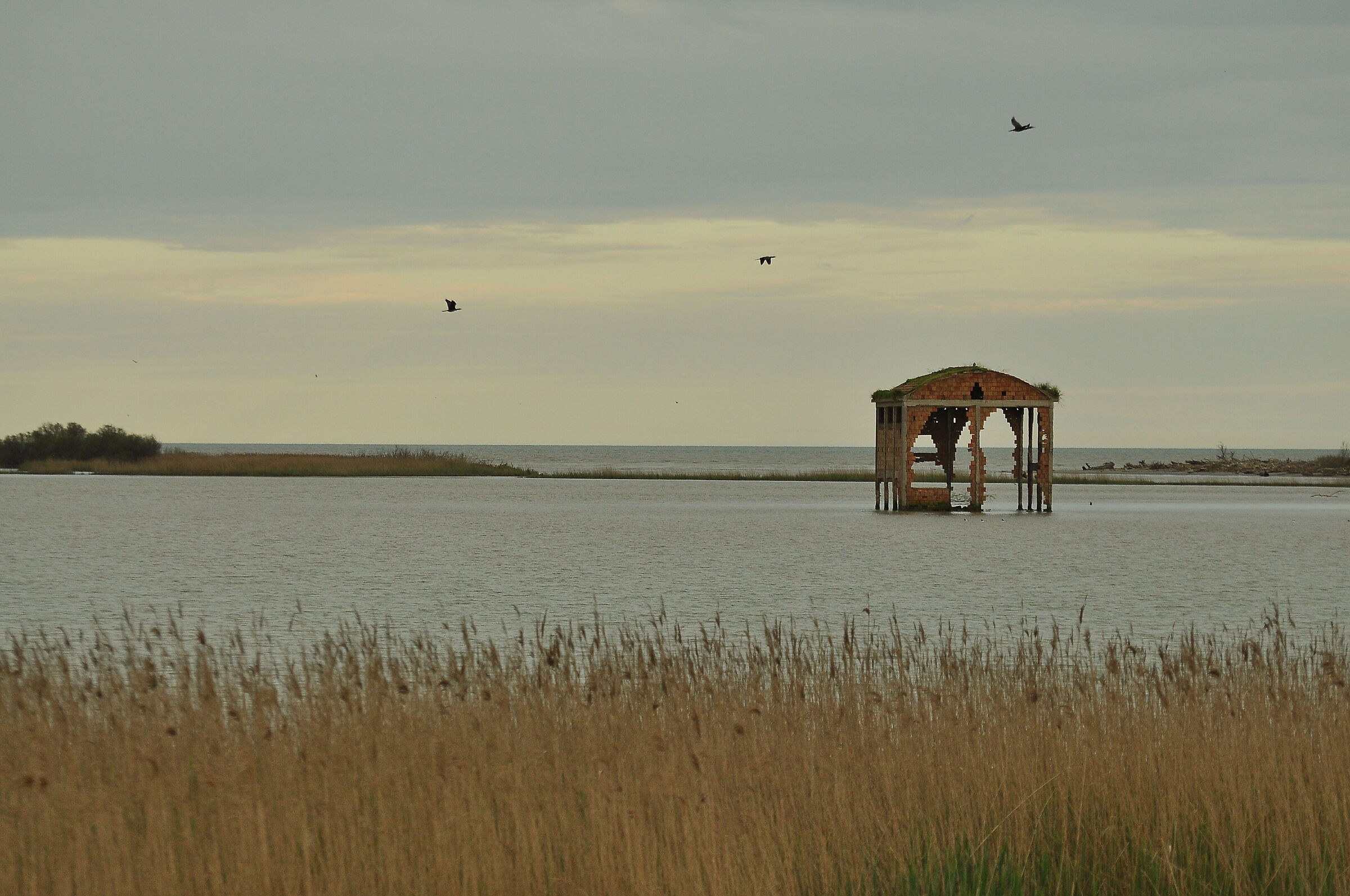 Oltre il canneto ...
