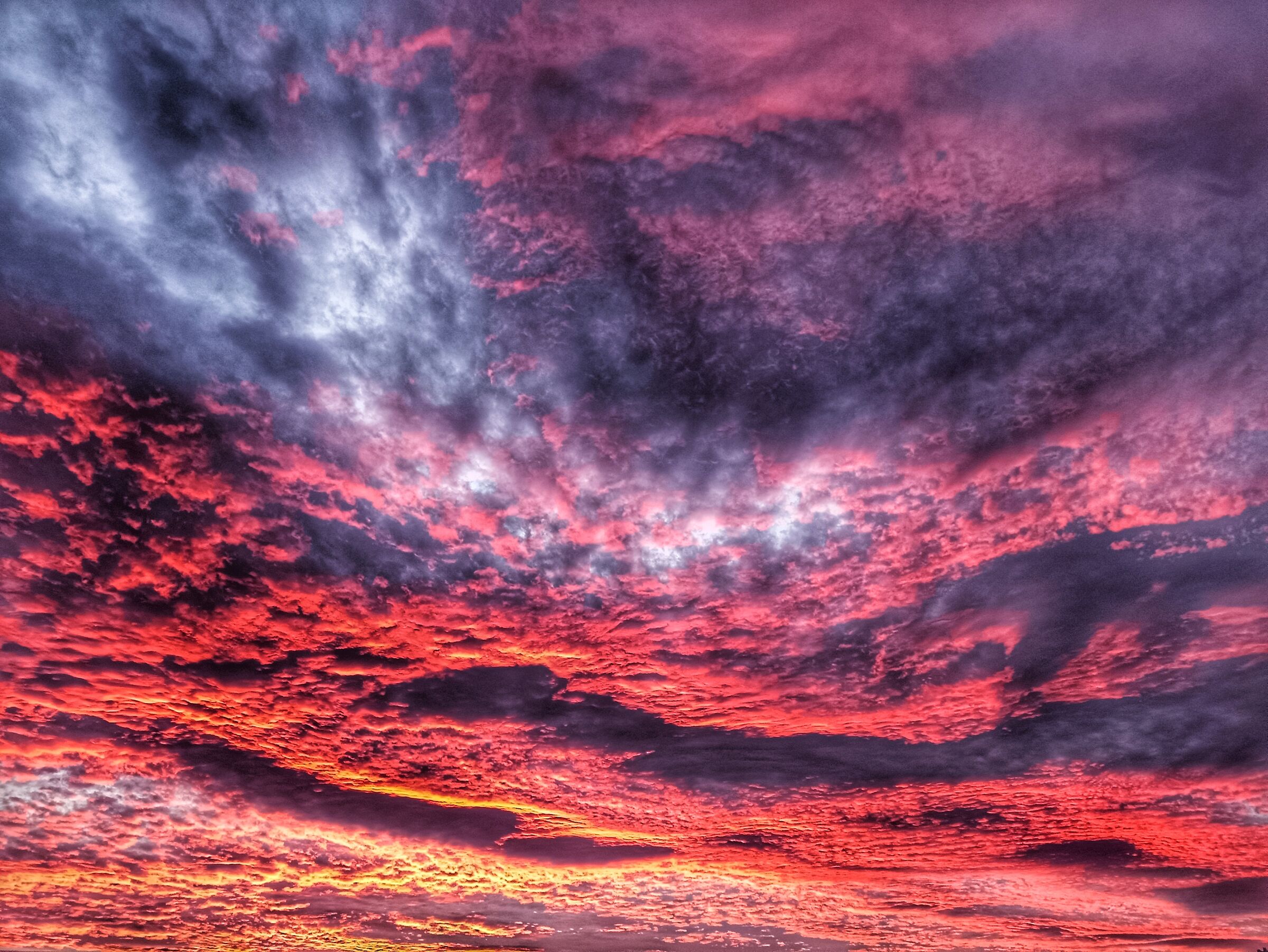 Under a Blood Red Sky