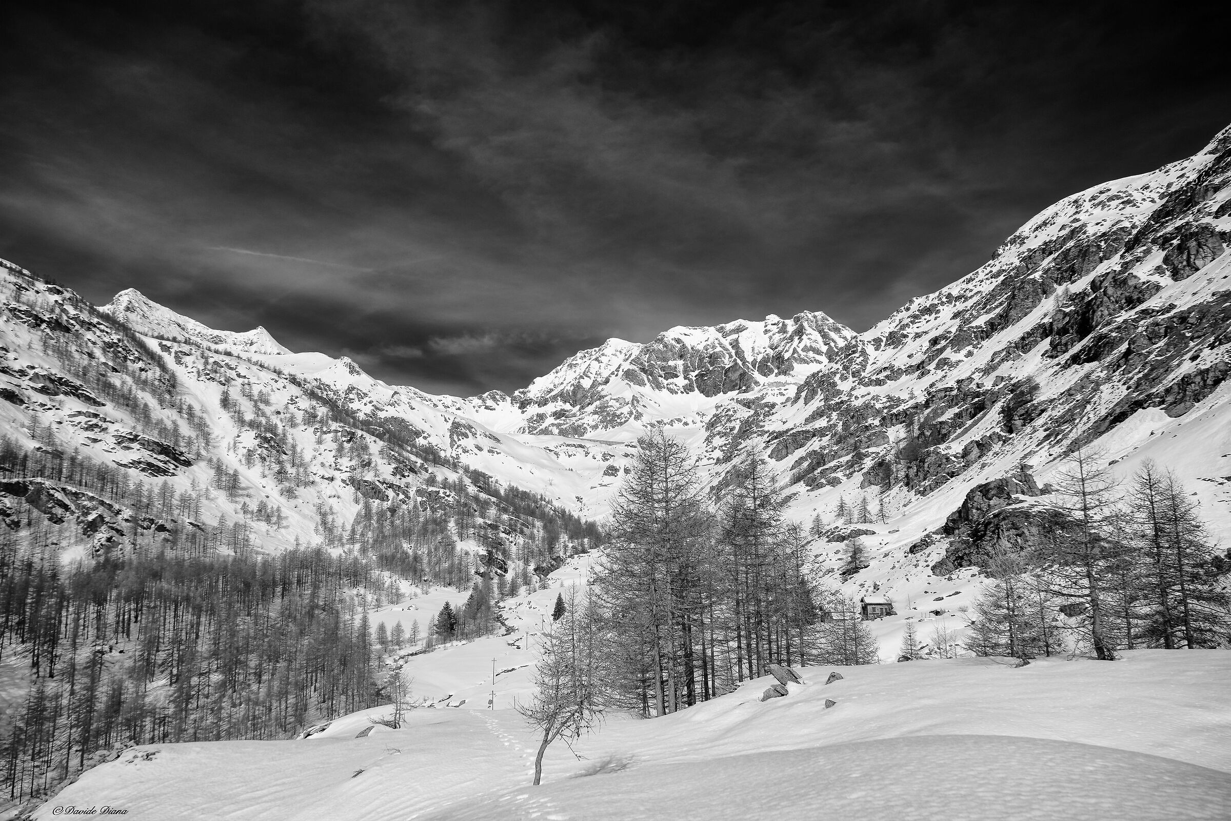 Gran Paradiso National Park - Piedmont