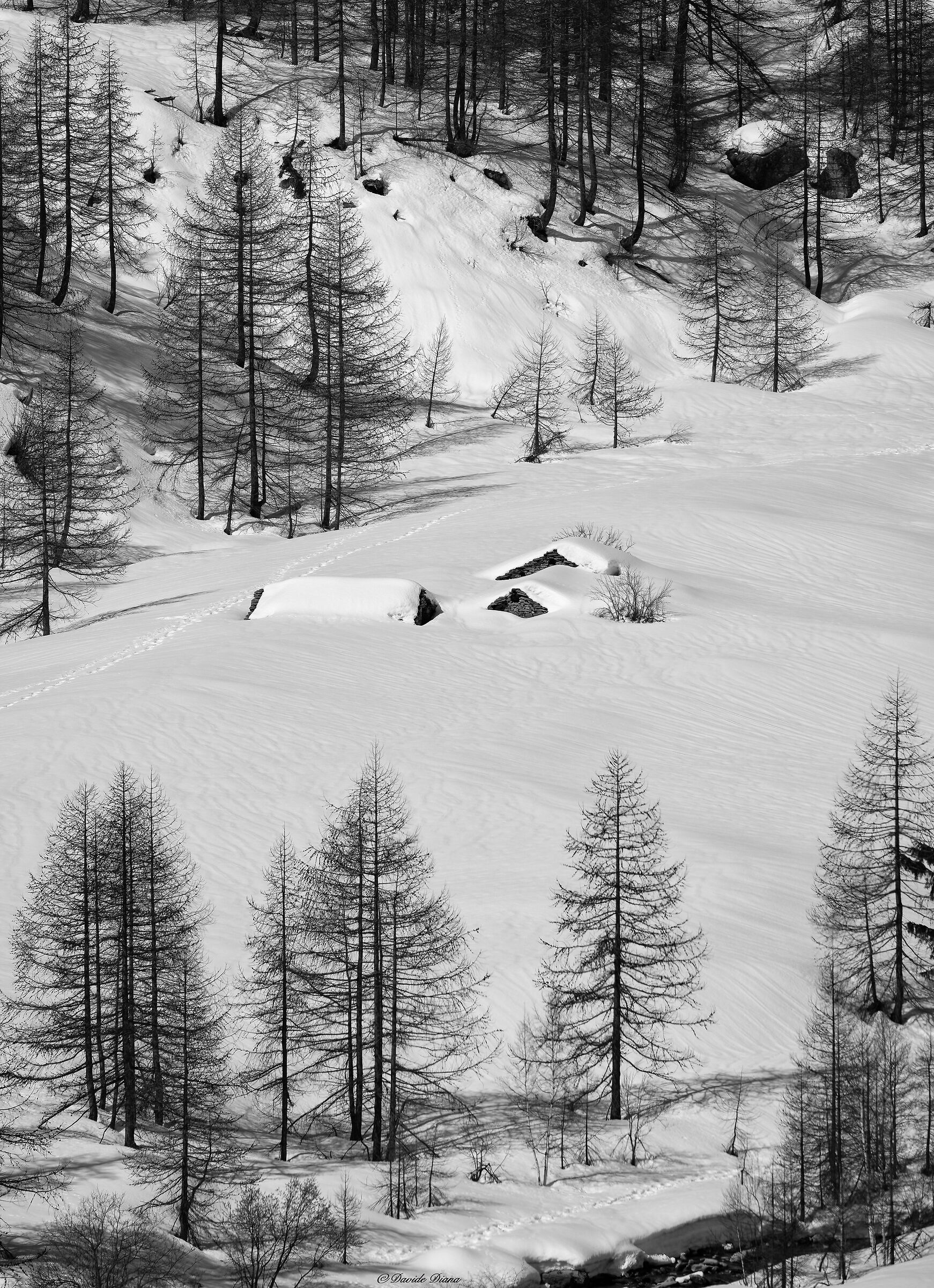 Gran Paradiso National Park - Piedmont