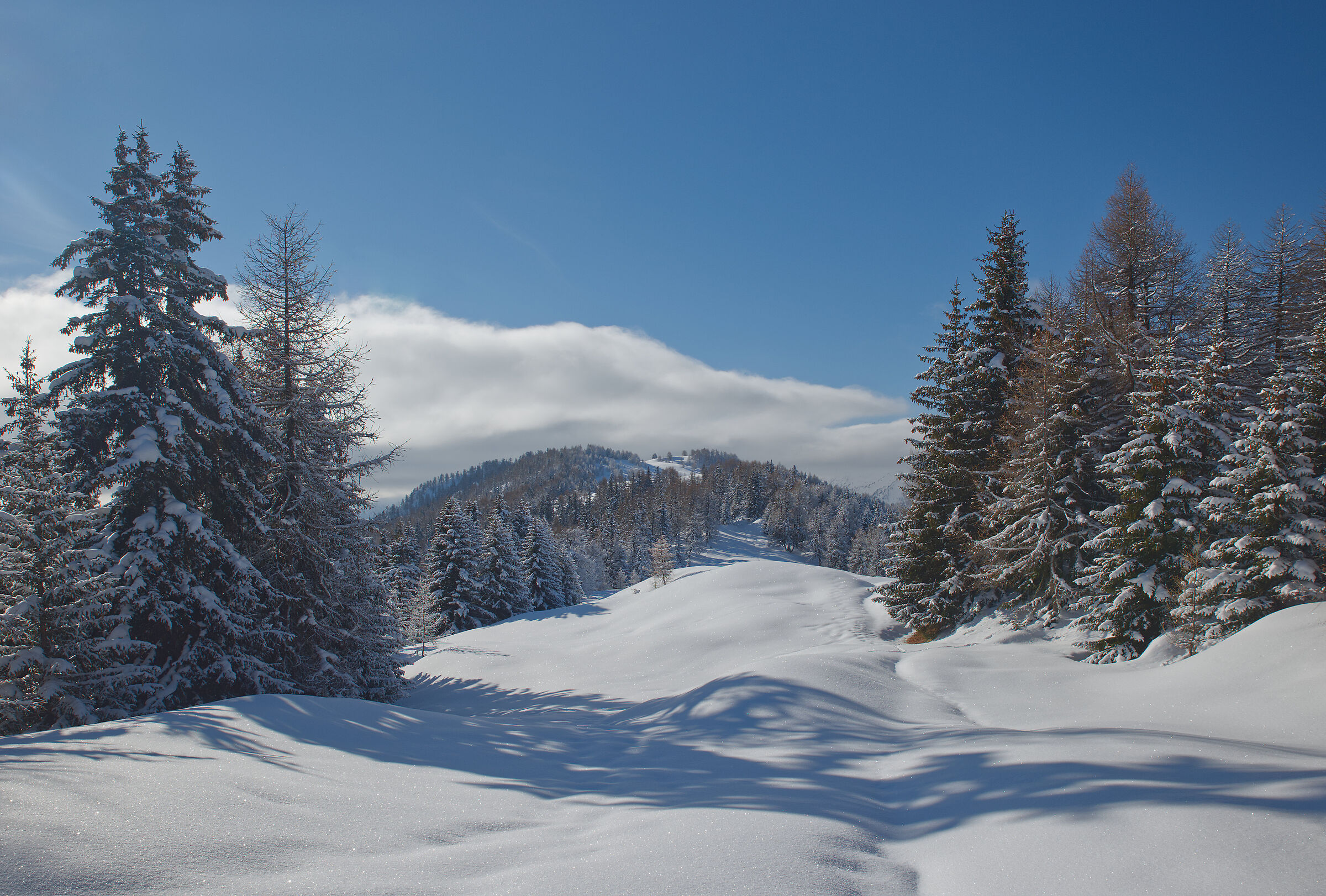 Aosta Valley February 2017