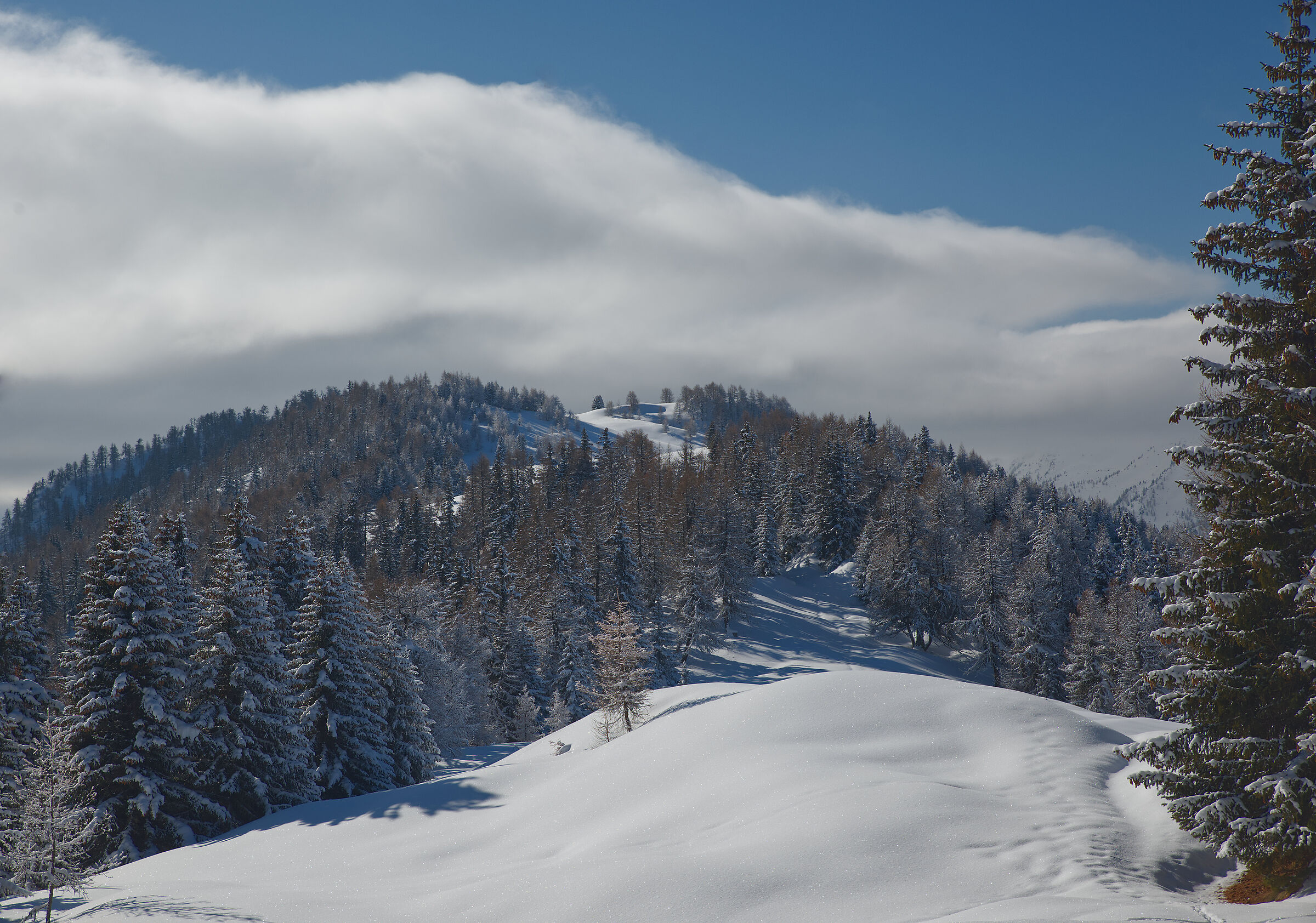 Aosta Valley February 2017