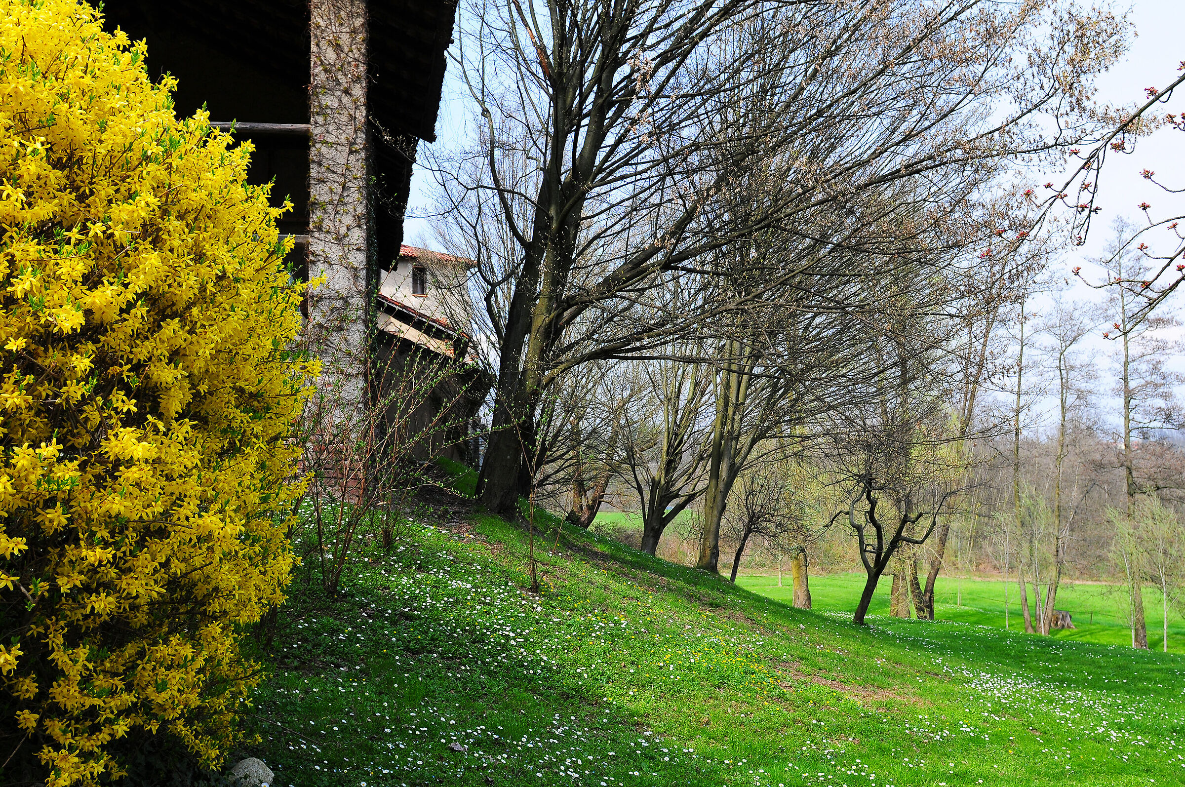 Spring at the Torba Monastery