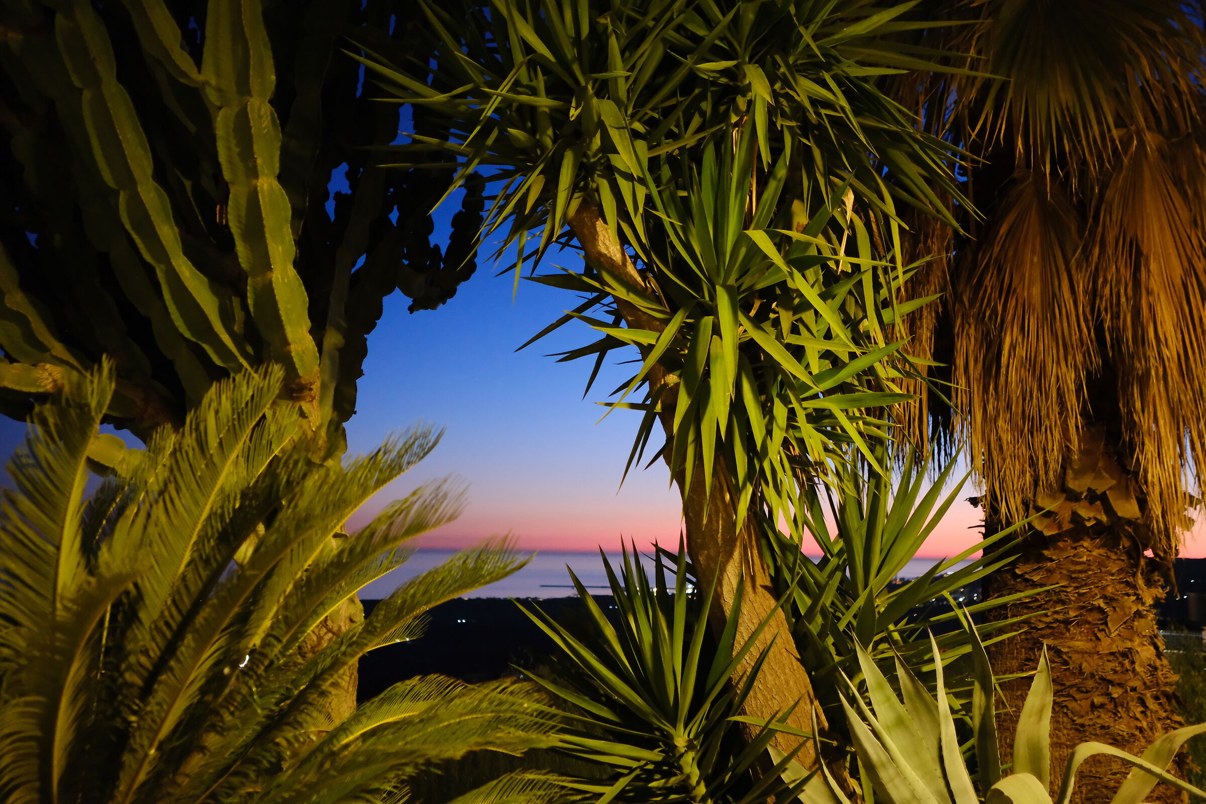 Dove mi sento a casa mia!