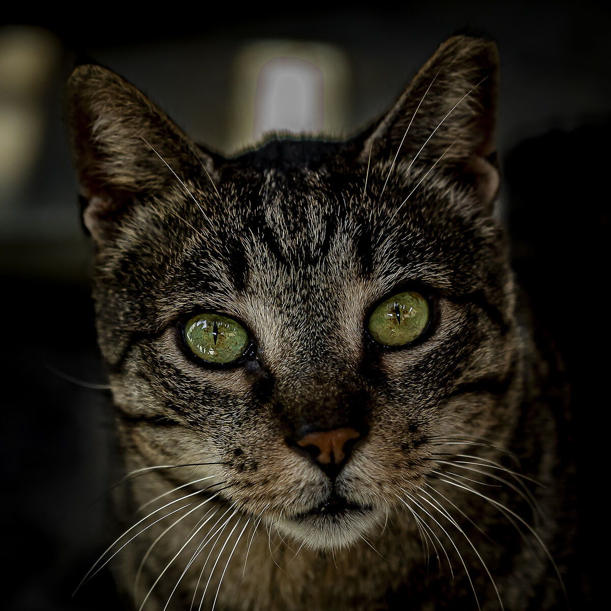 Umano, perché dubiti dell'esistenza di Dio? Eccom...