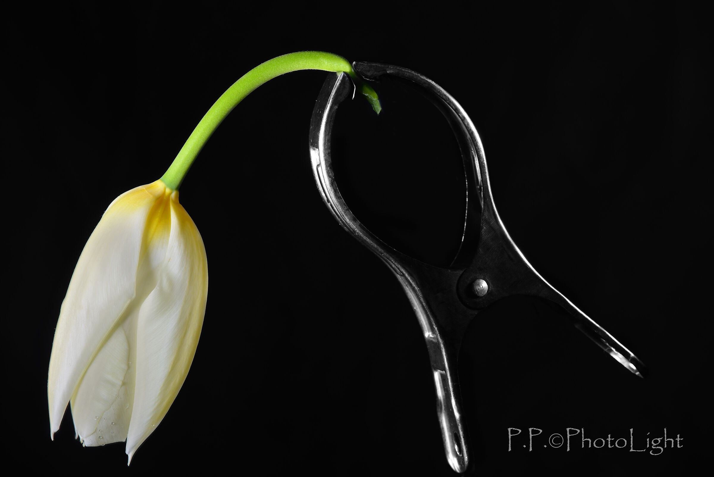 Conclusion on the topic