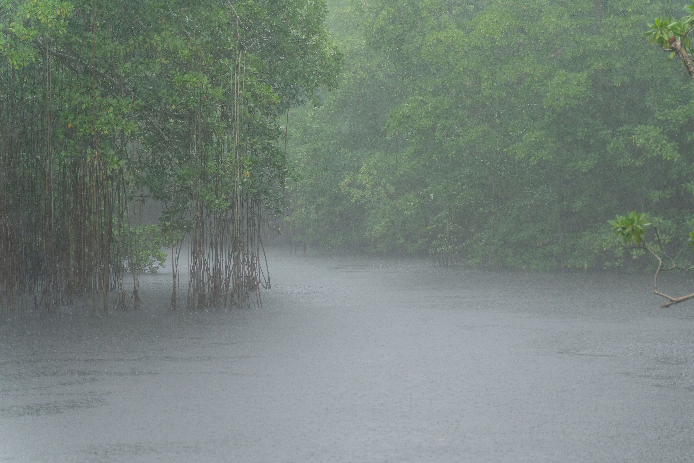 Boating on the Black River in the Storm