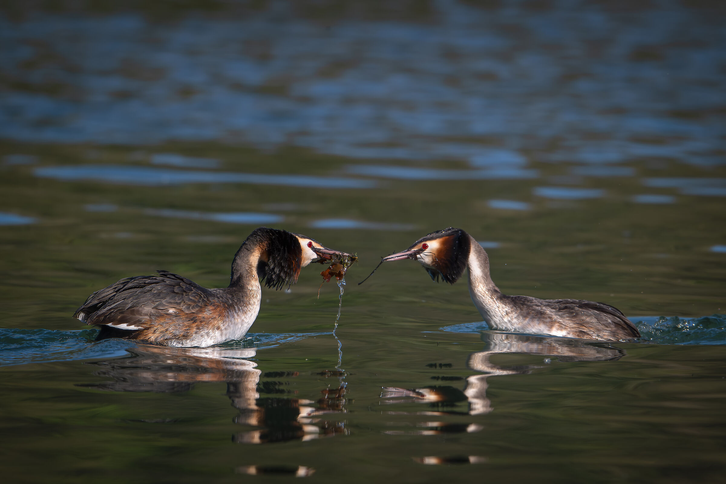 Now we can do the gift exchange