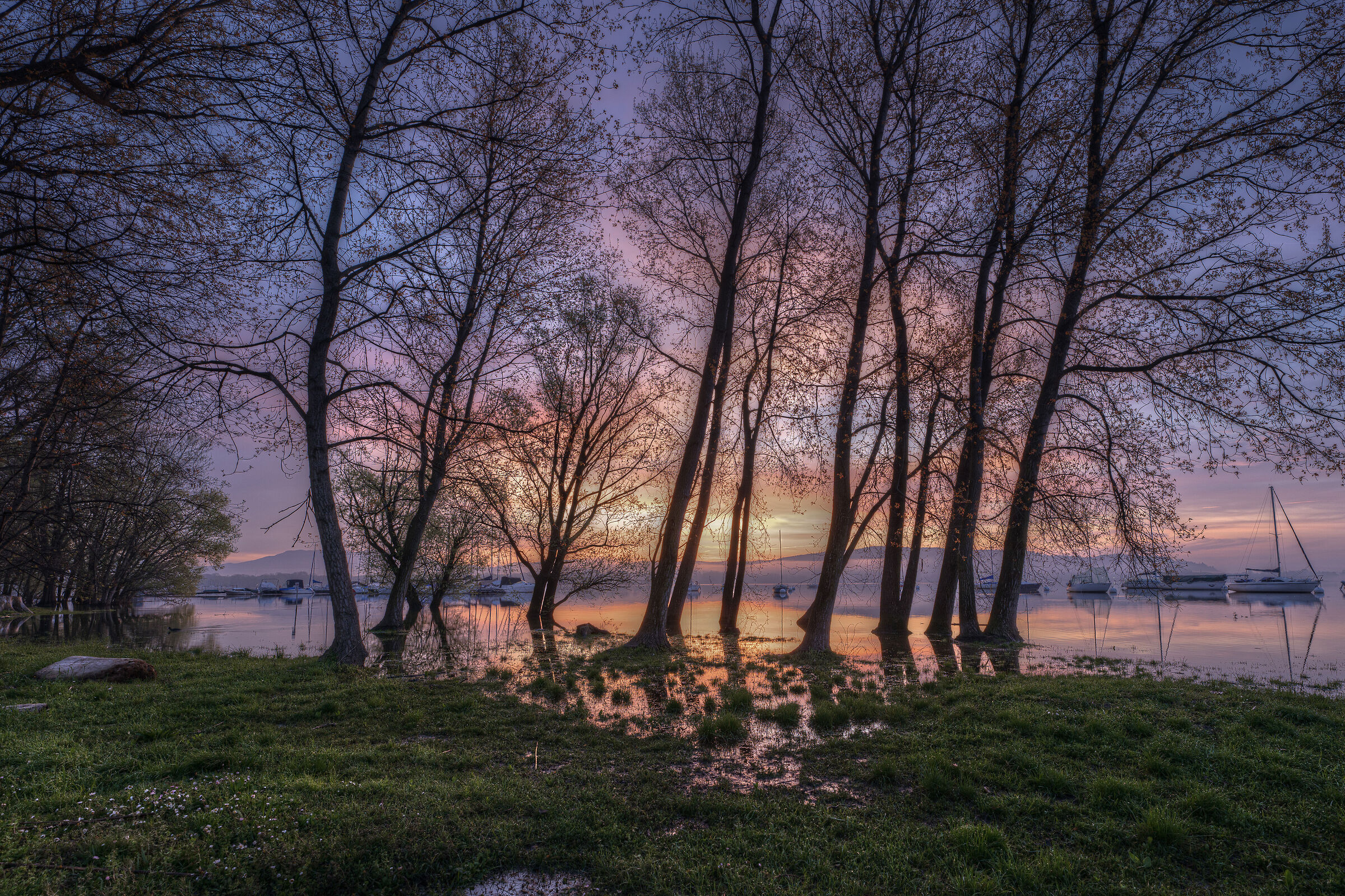 Alba su acqua alta (Lago maggiore in piena)