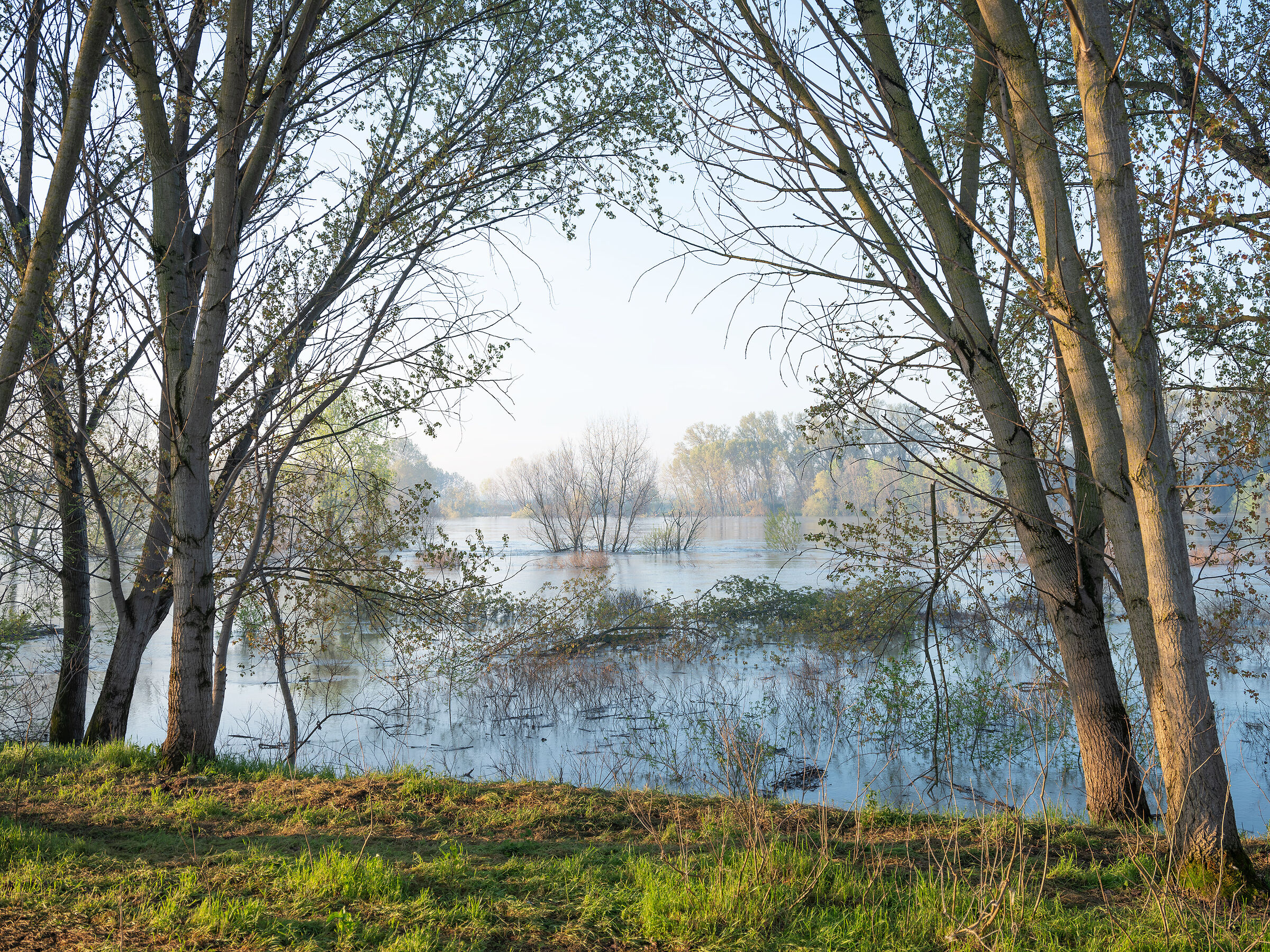 Po River in flood