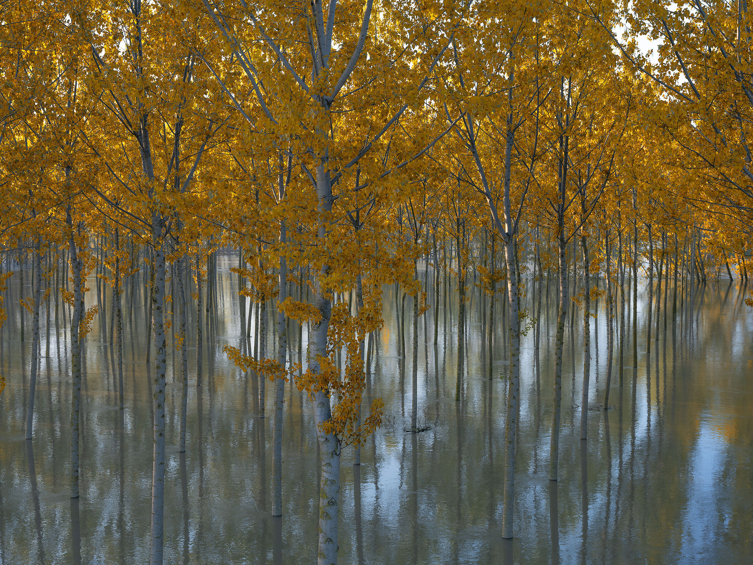 Po River in flood
