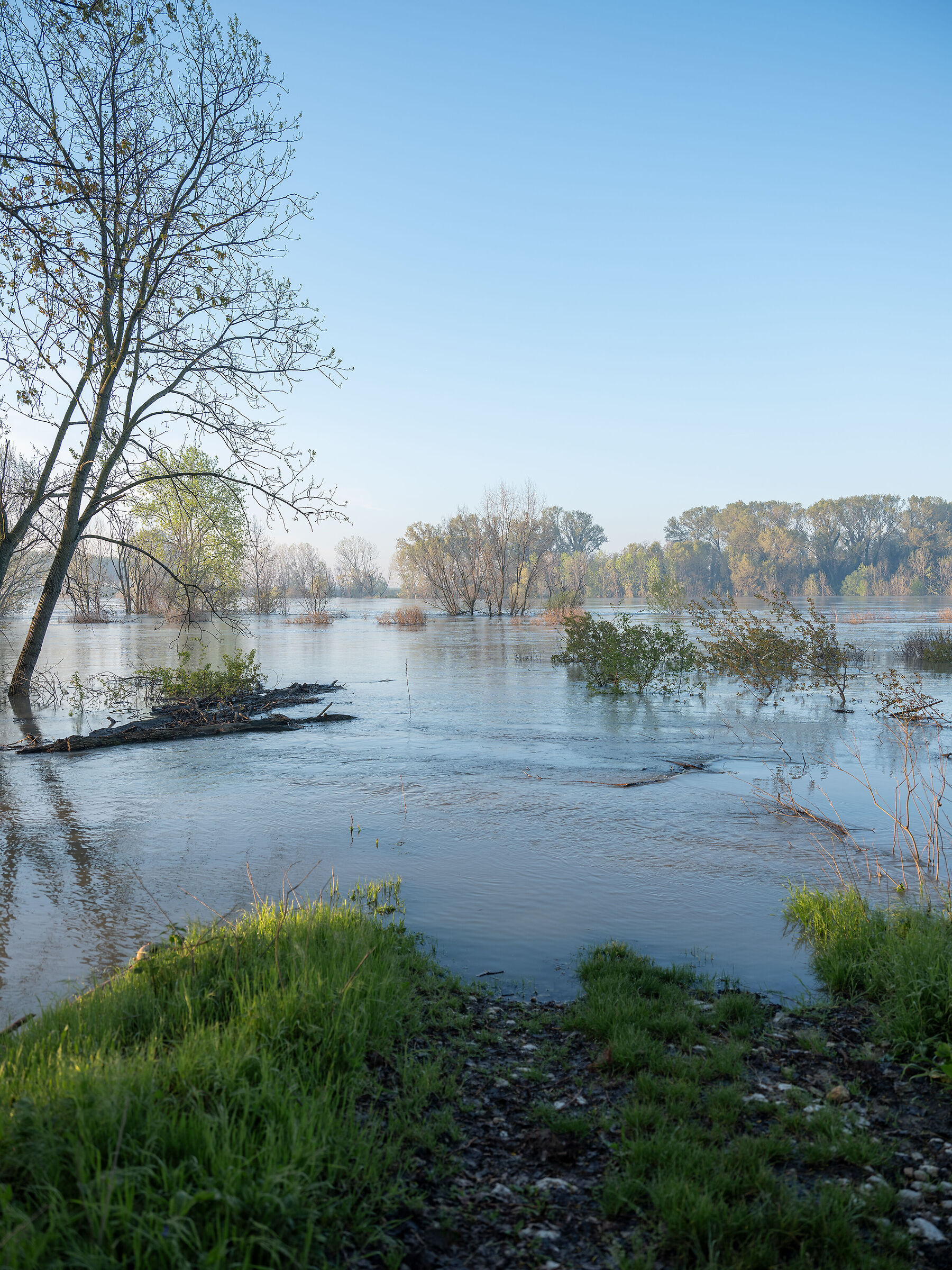 Po River in flood