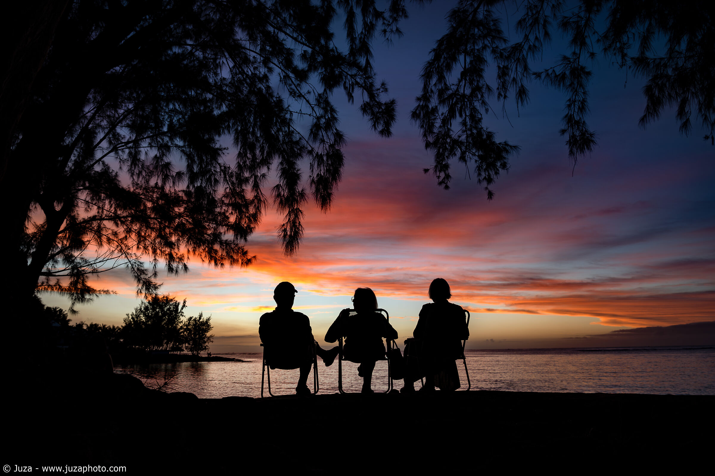 The Sunset Spectators