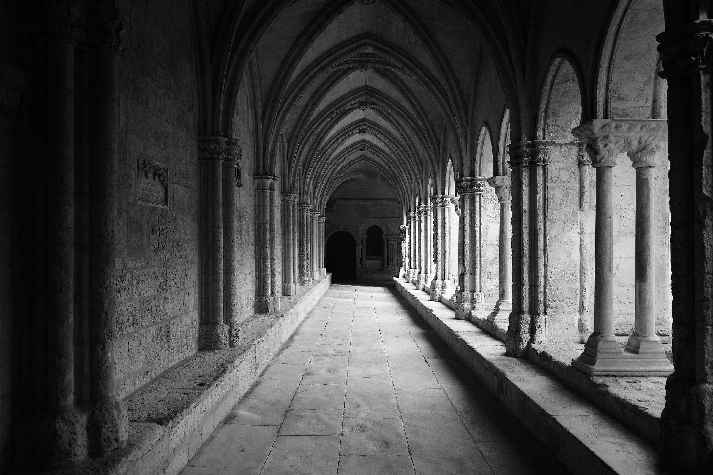 Cloister of Saint-Trophim in Arles