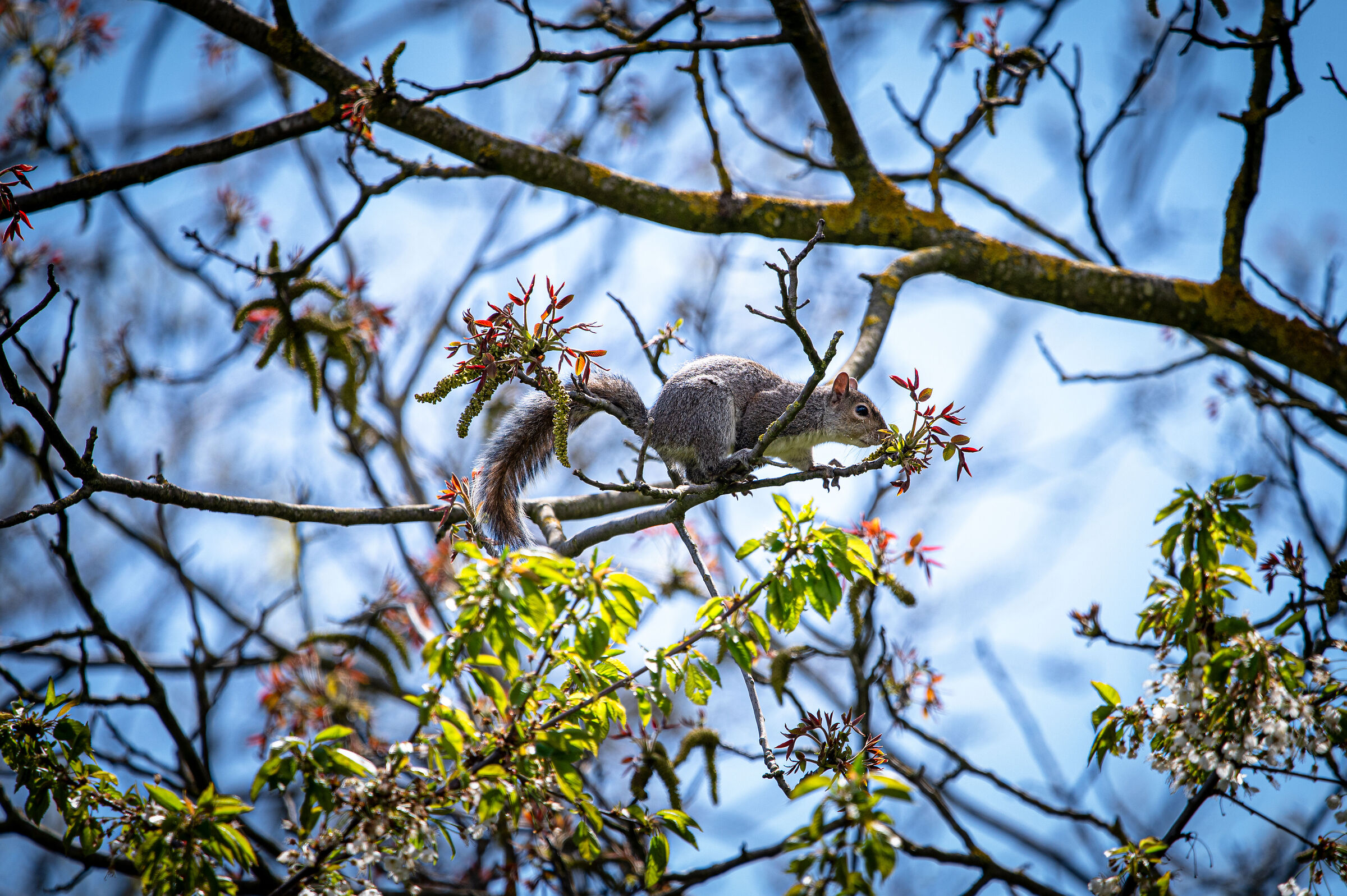 Perched on the branch