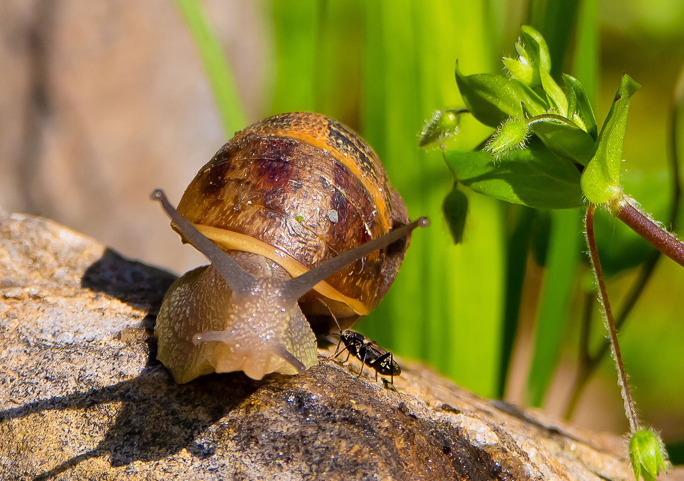 Ok vieni da destra.. ma non puoi fare più in fretta?