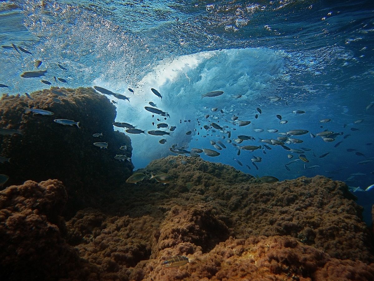 Paesaggio sottomarino
