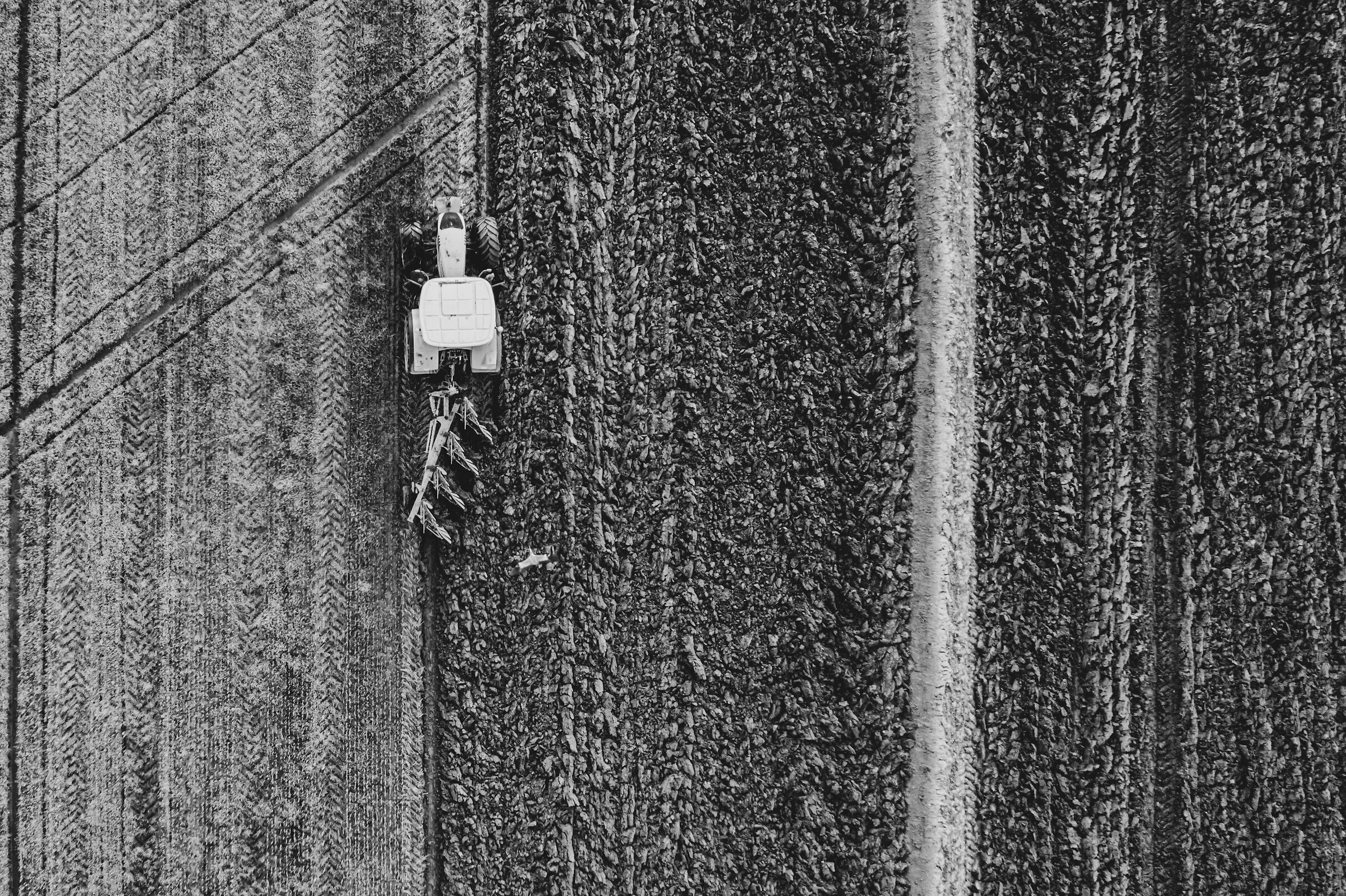 La regola dei terzi in agronomia
