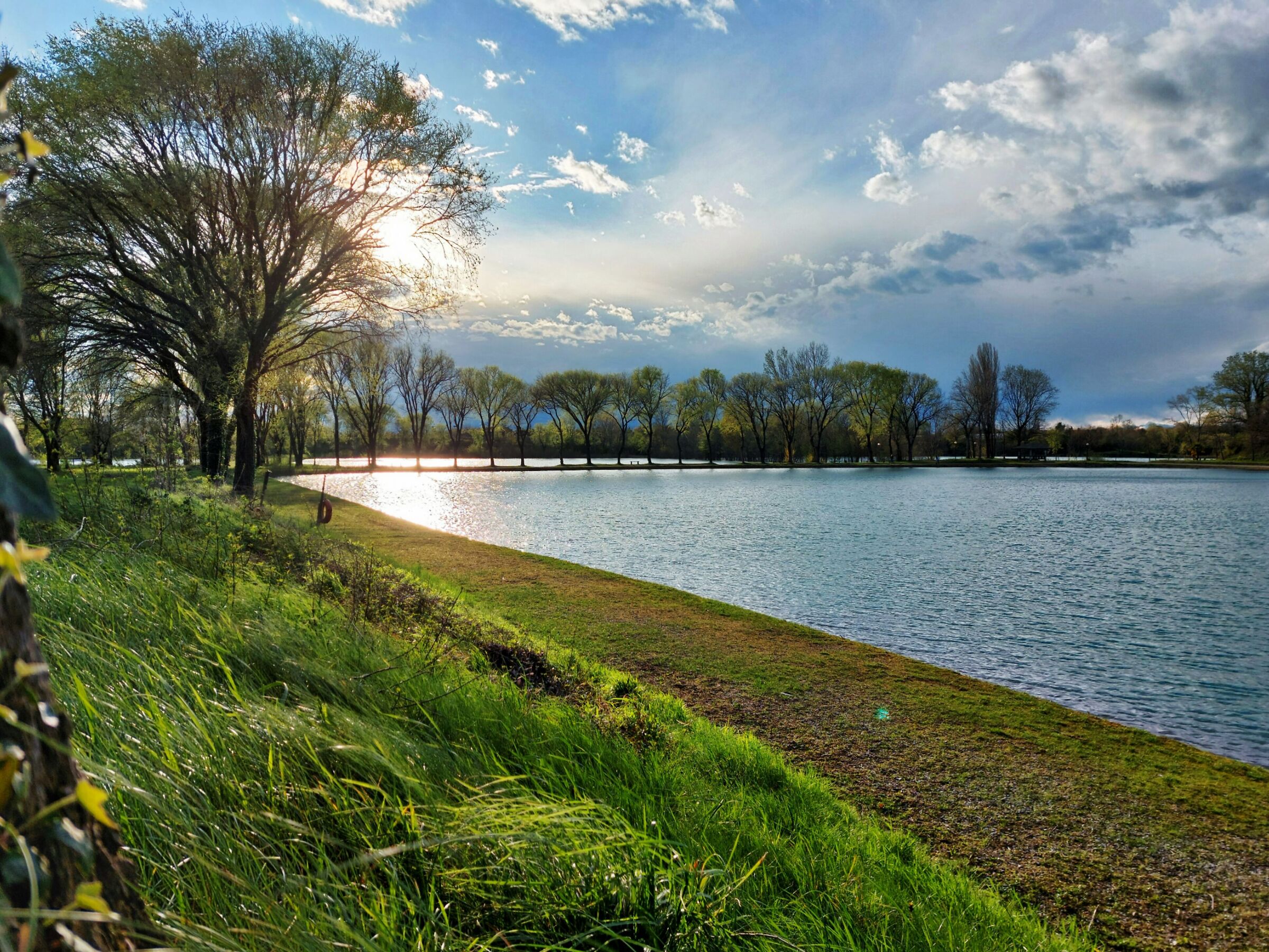 Walking through the ponds