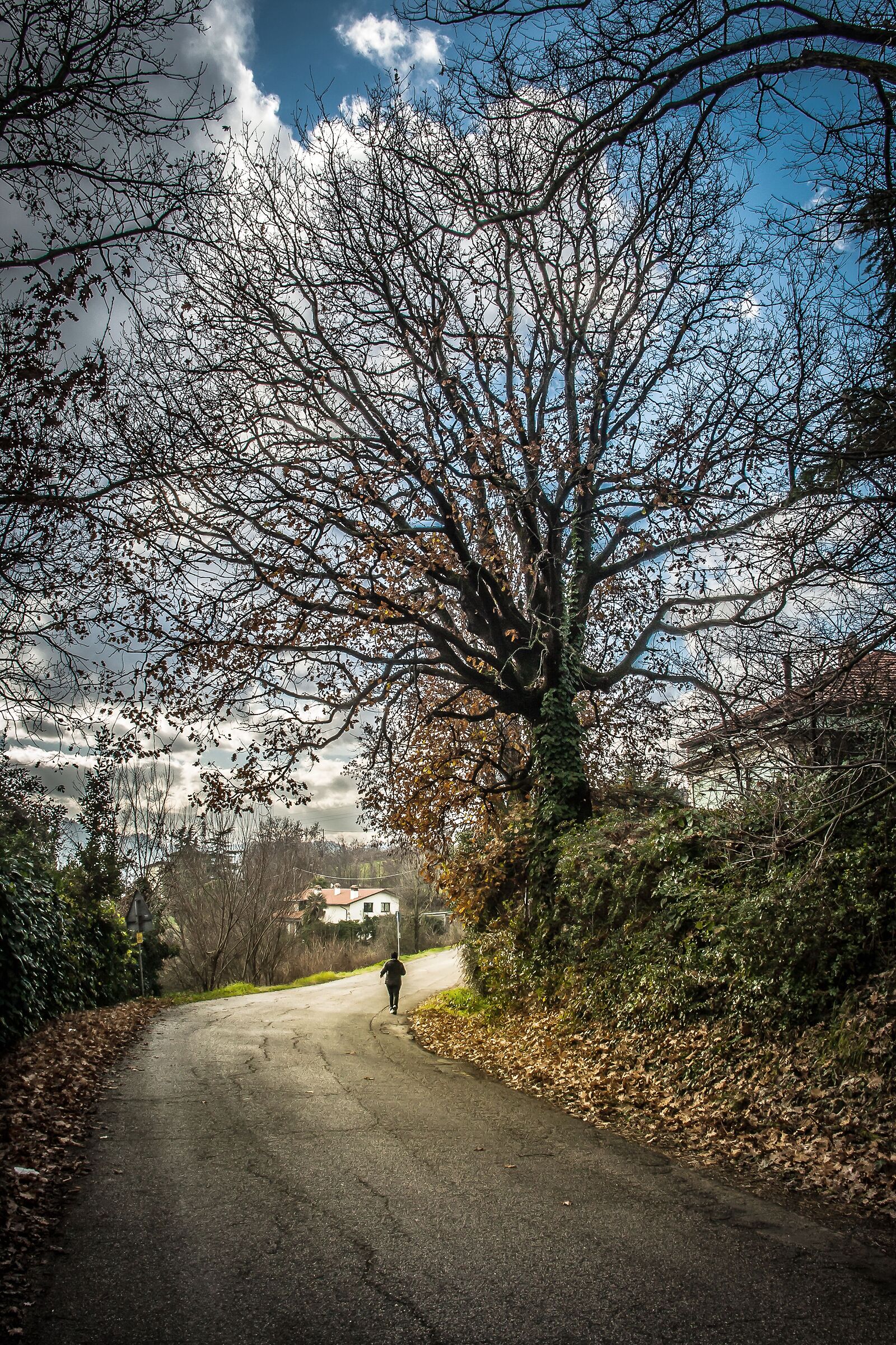 Cesena, to the chalks