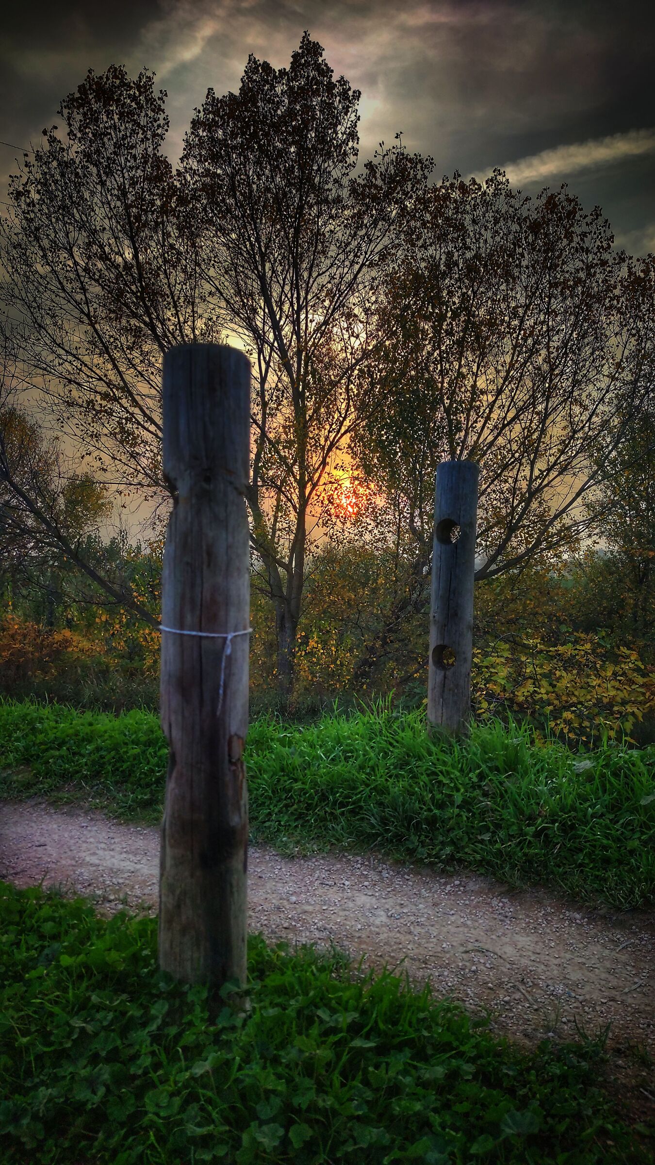 Cesena, path along the Savio