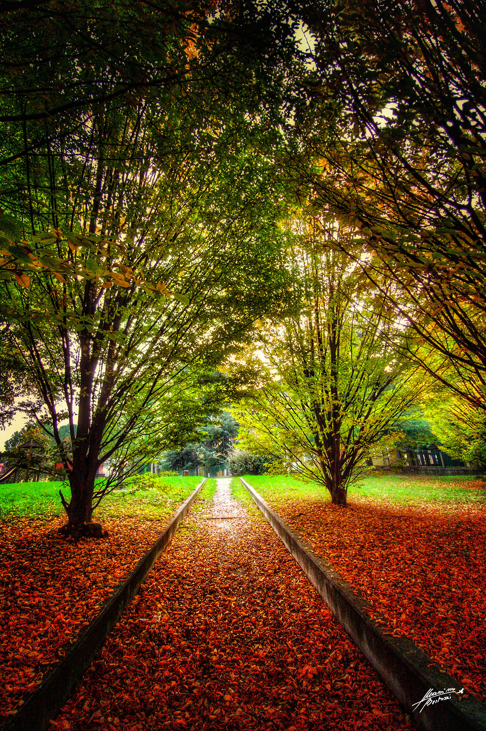 Cesena, autumn
