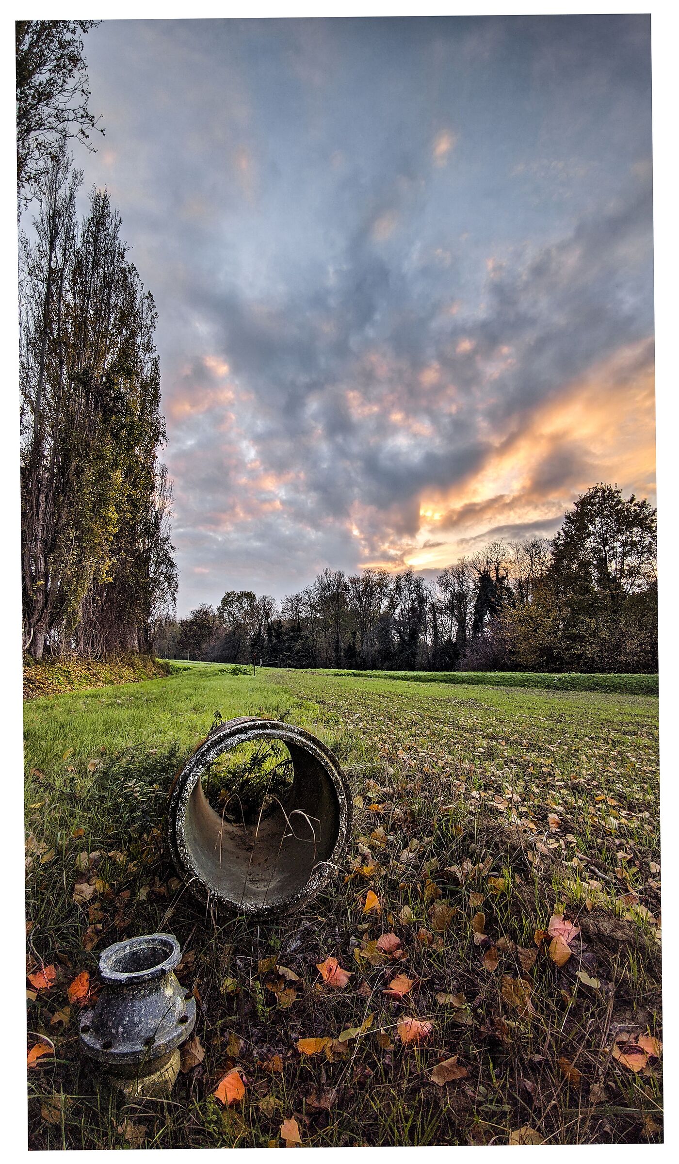 Cesena, path along the Savio