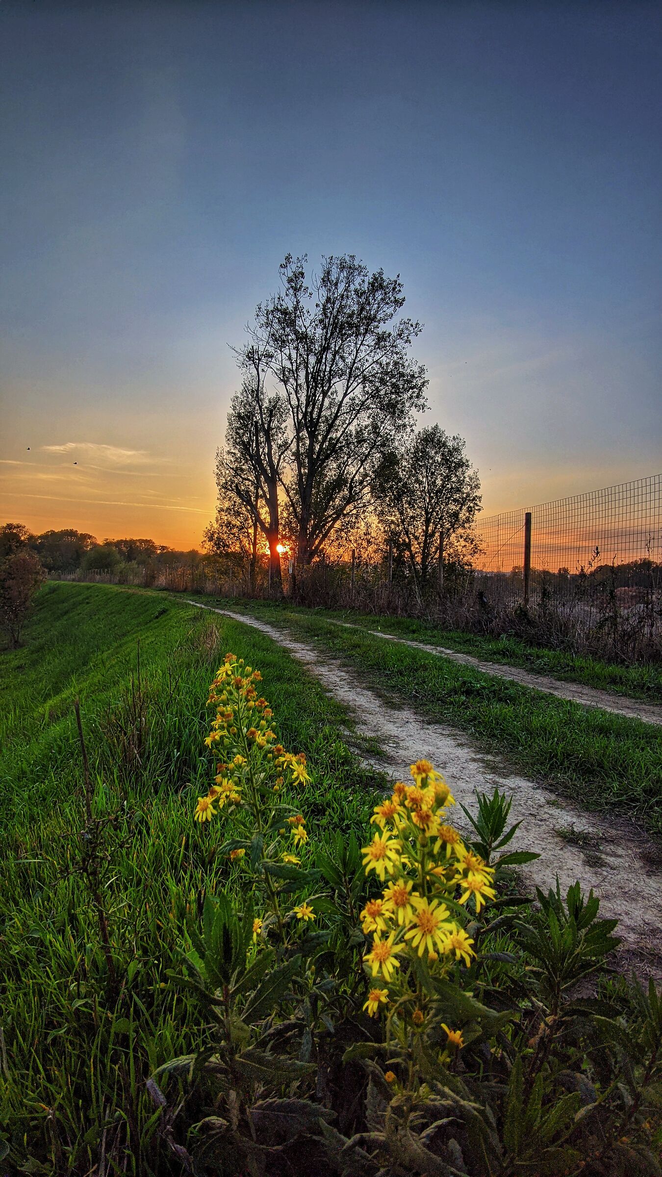 Cesena, path along the Savio