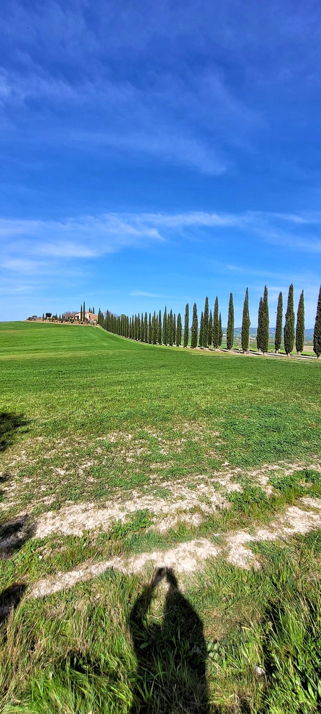 Campagna senese