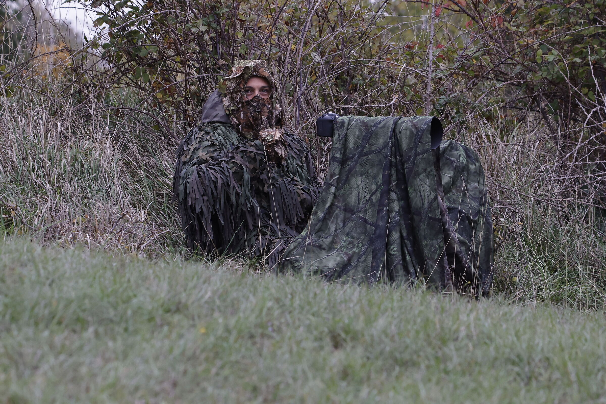 Ambush