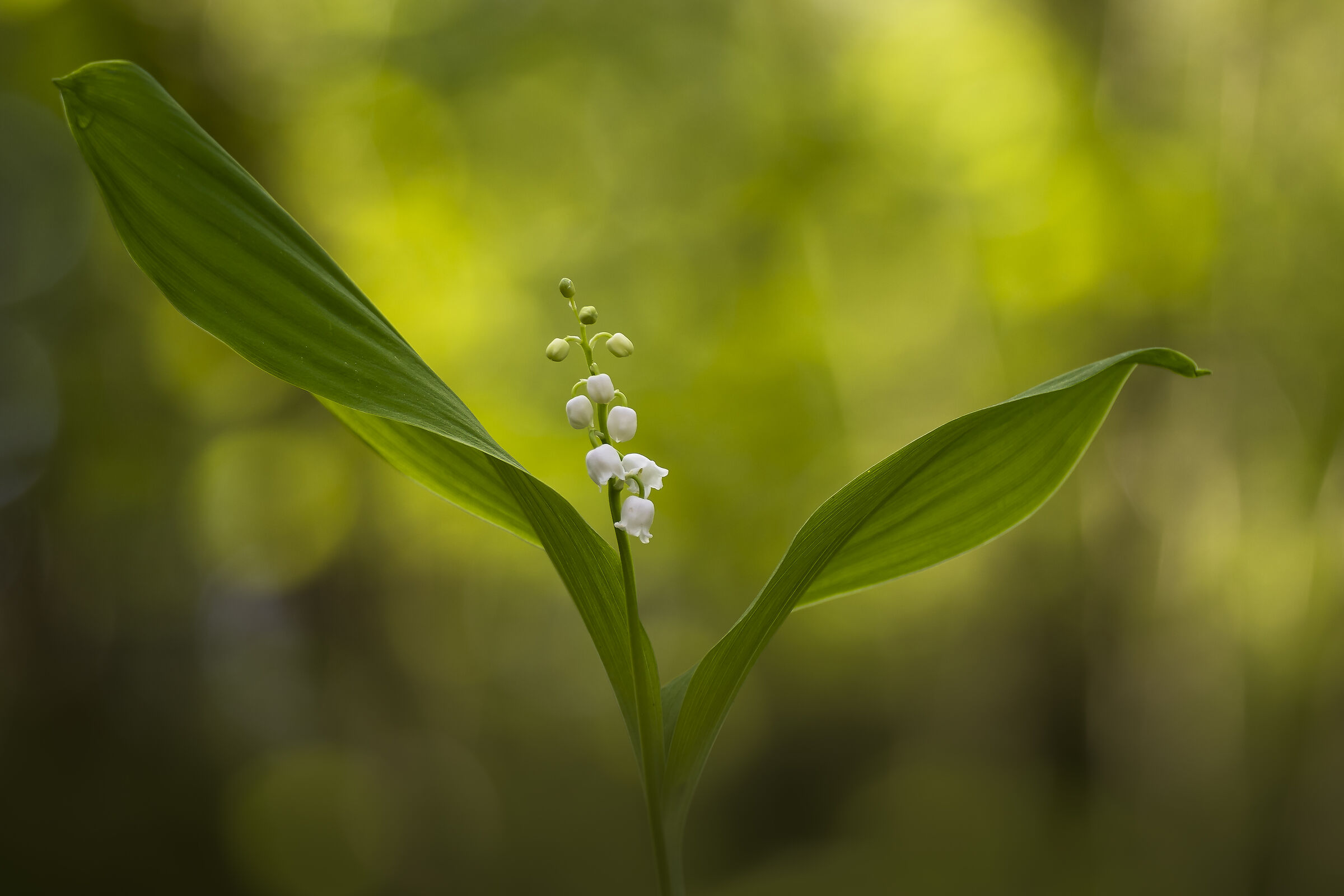 Con affetto, a tutte le signore fotografe