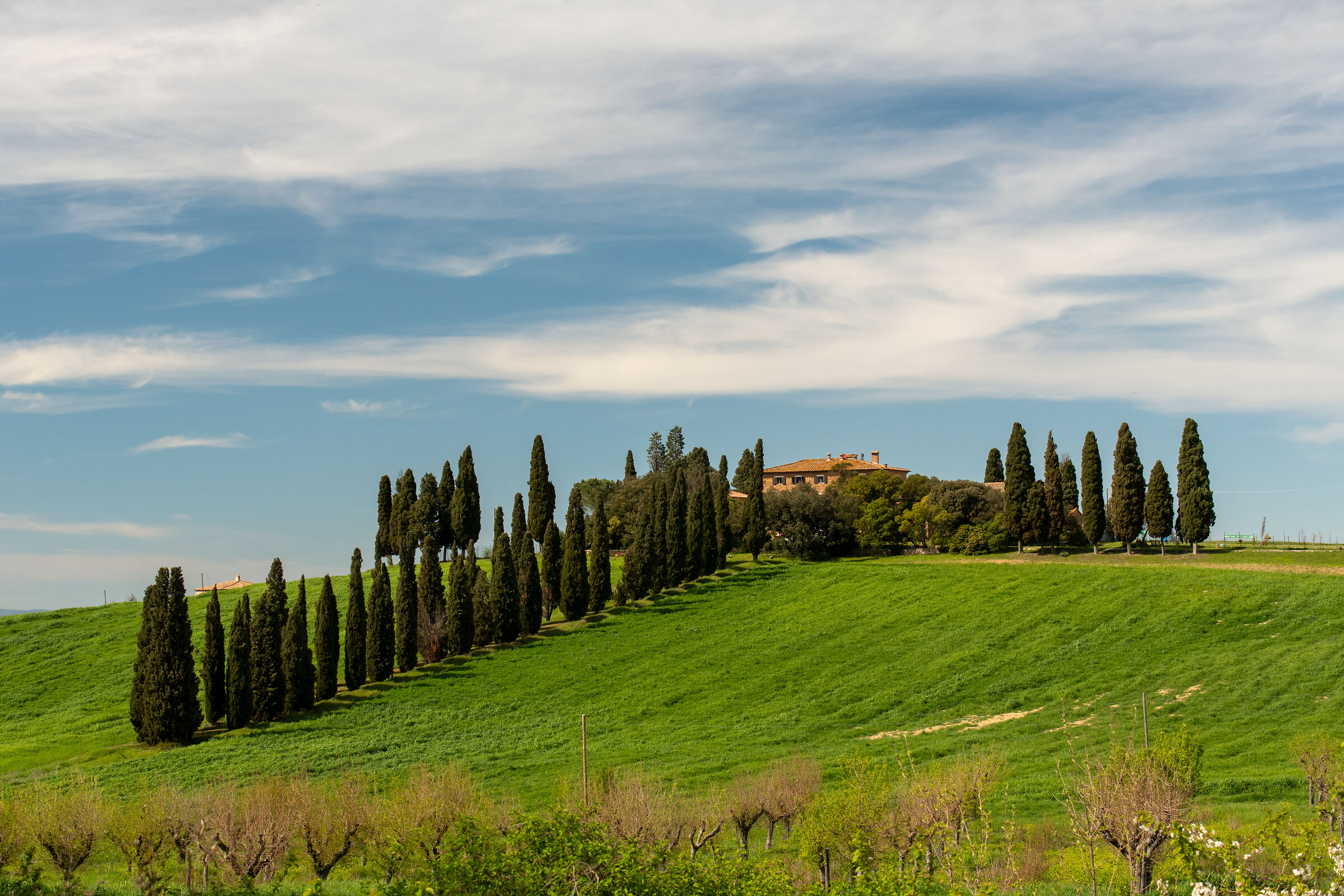 On the trail of the Gladiator..