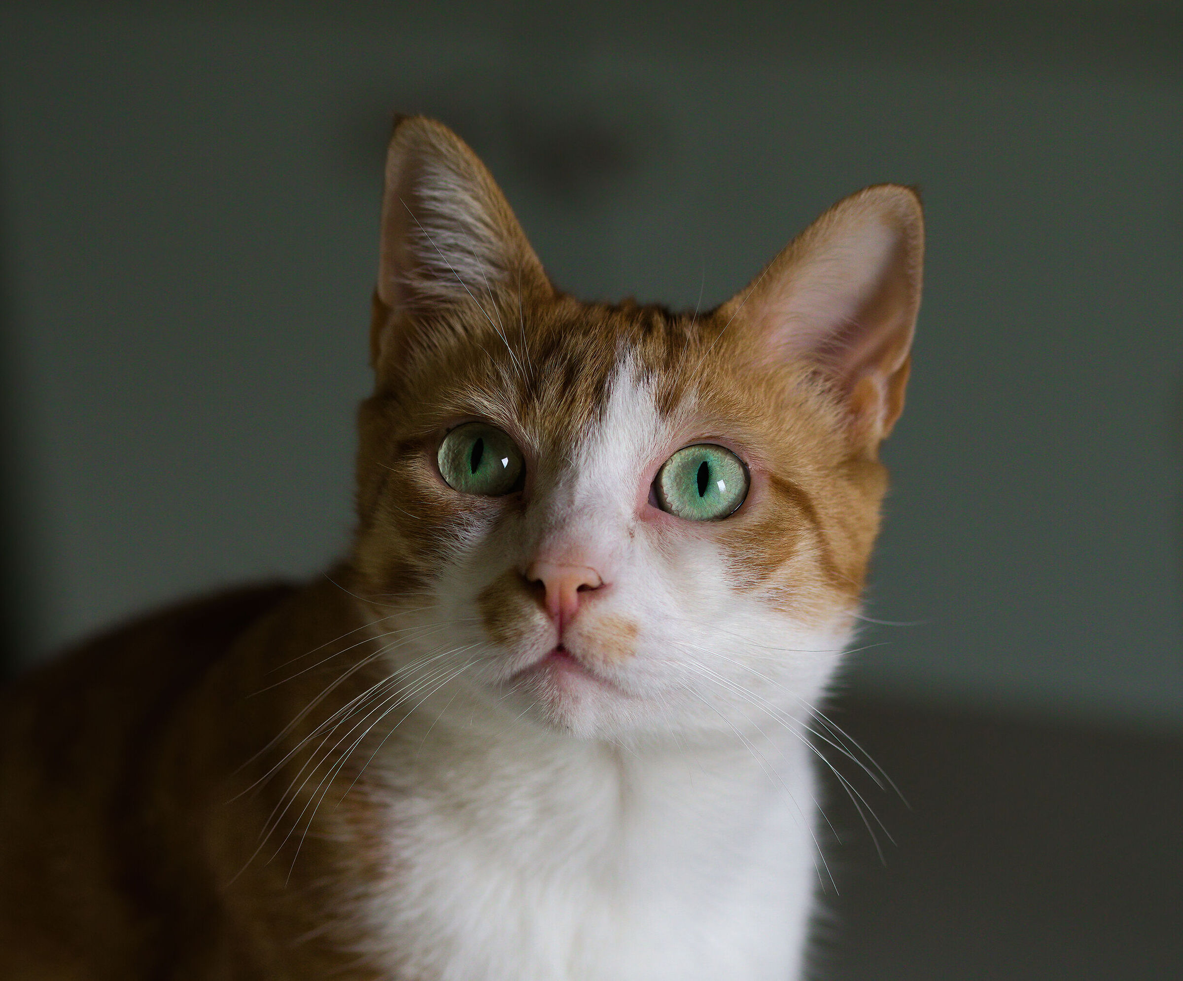 Il Re di casa...Teo!