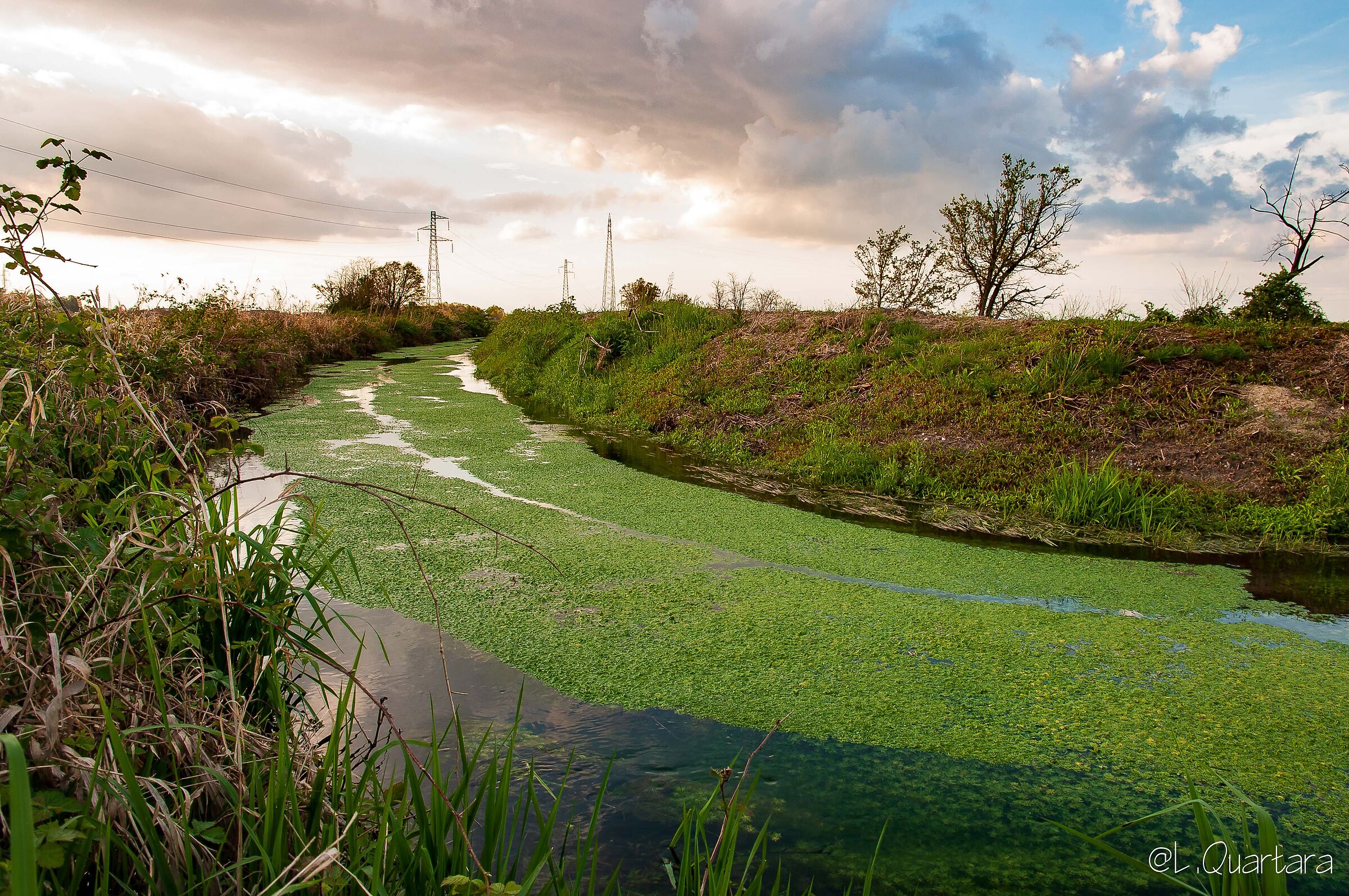 Surroundings of Novara
