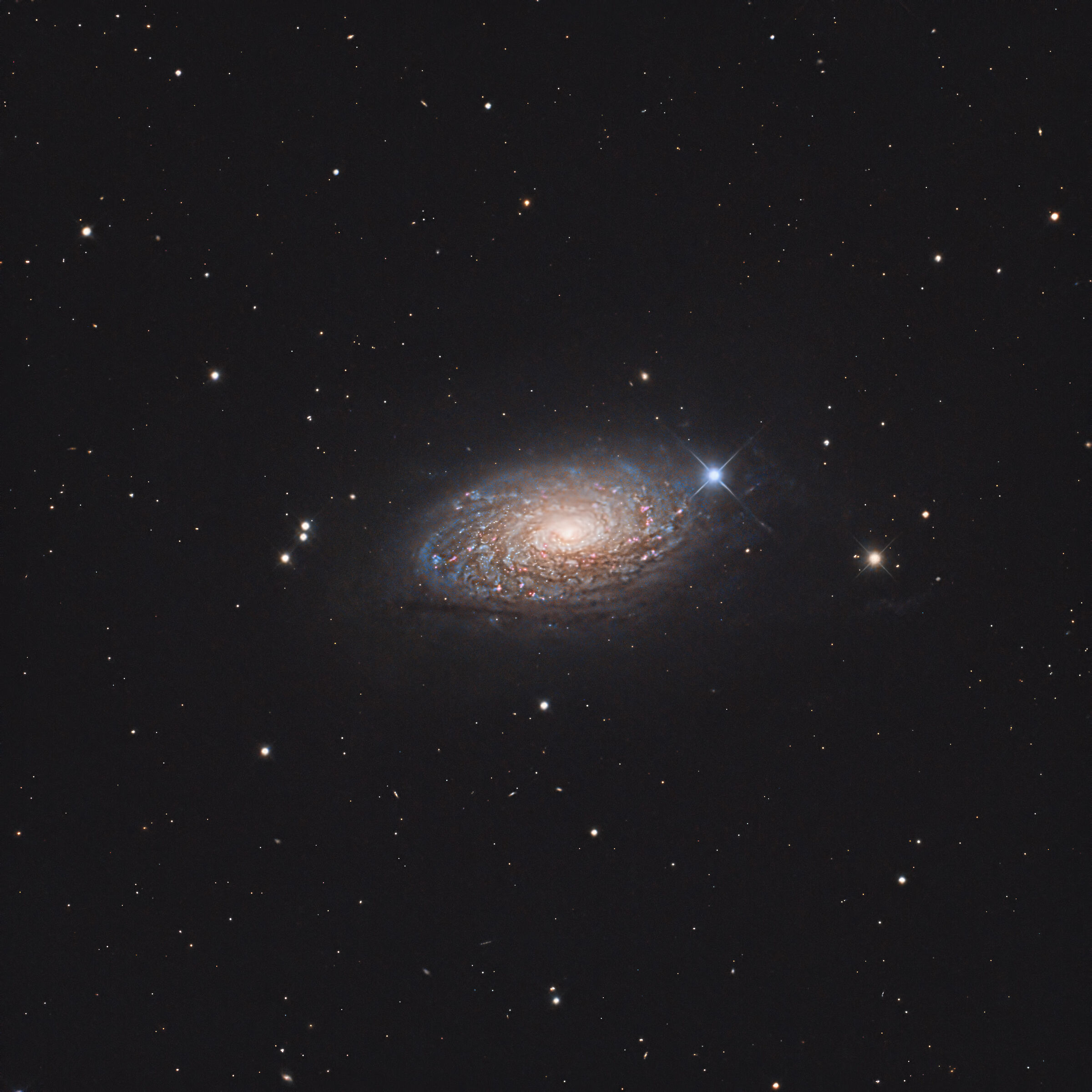 M63 Sunflower Galaxy