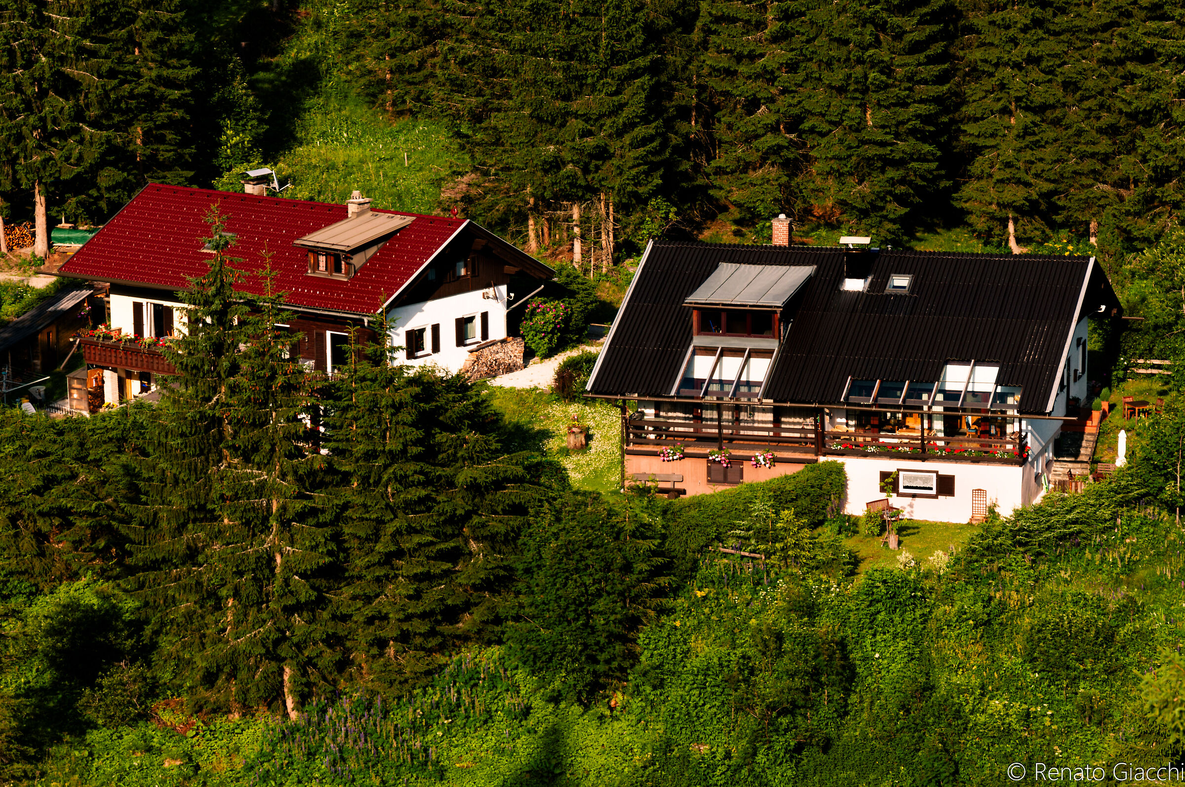 Red Roof or Black Roof