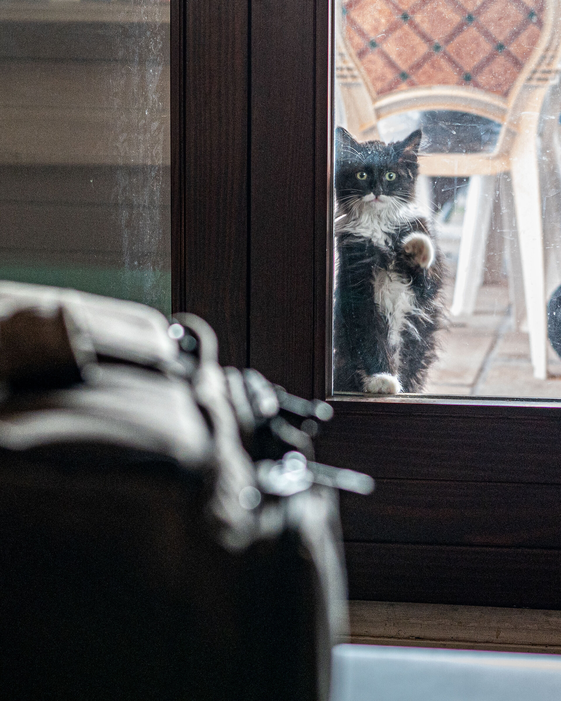 Is Z left out? Or do you want to tell me to clean the window...