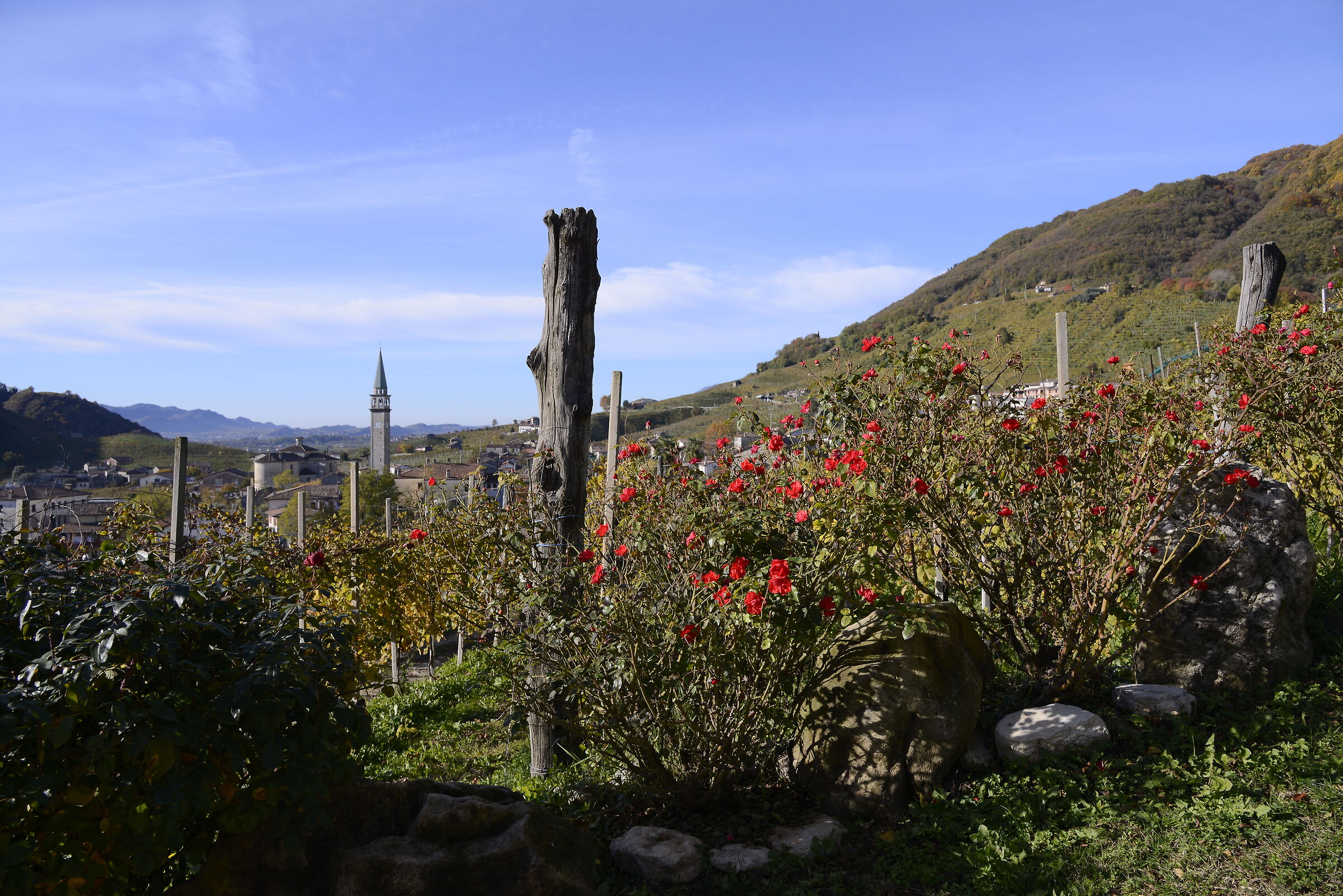 Guia of Valdobbiadene