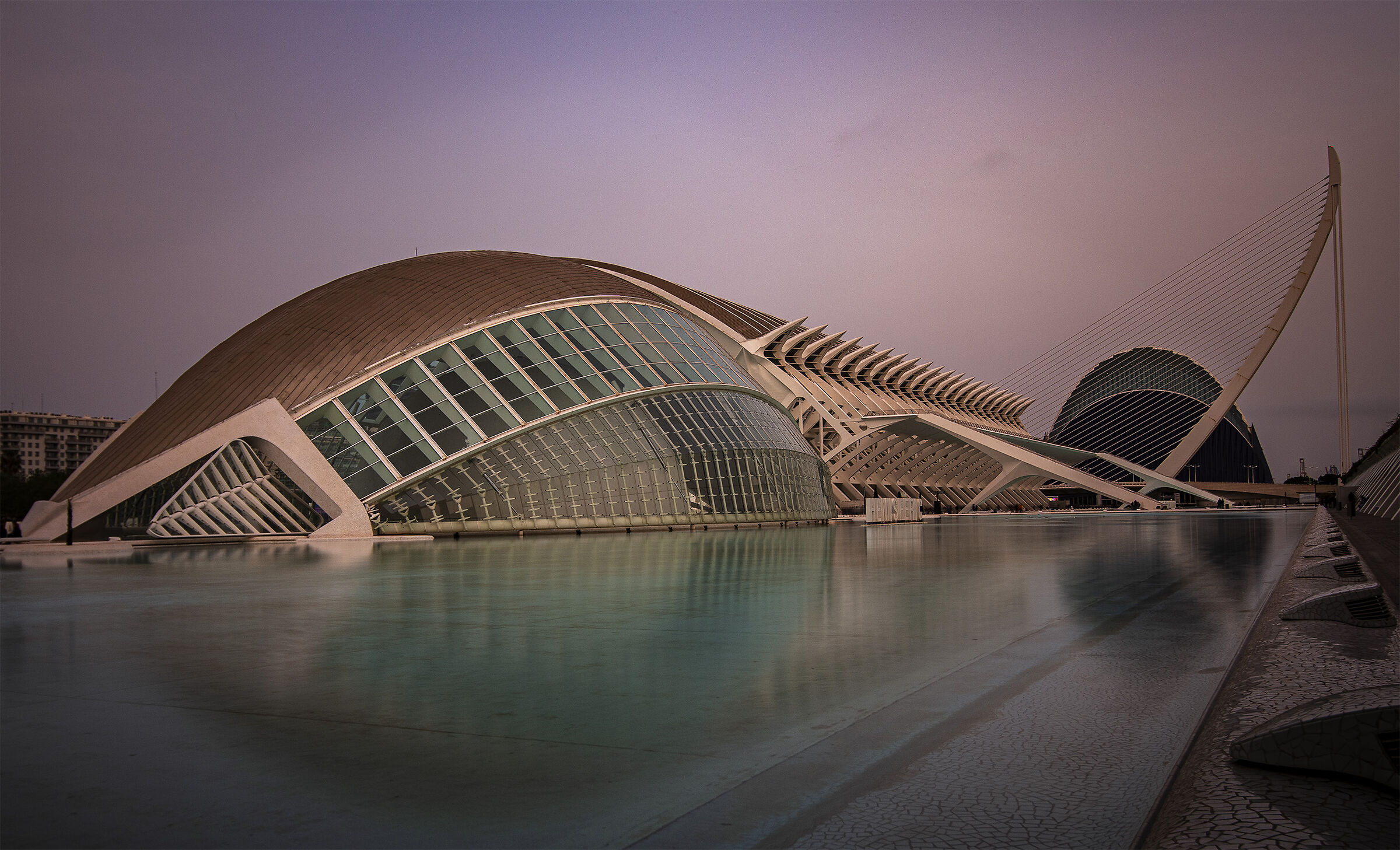 Valencia Città della delle arti e della scienza.