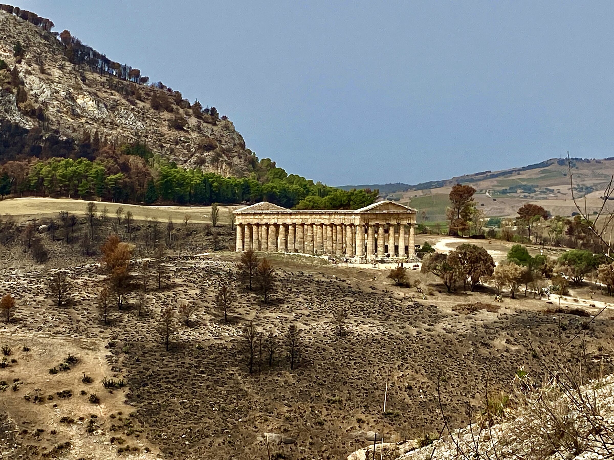 Temple of Segesta