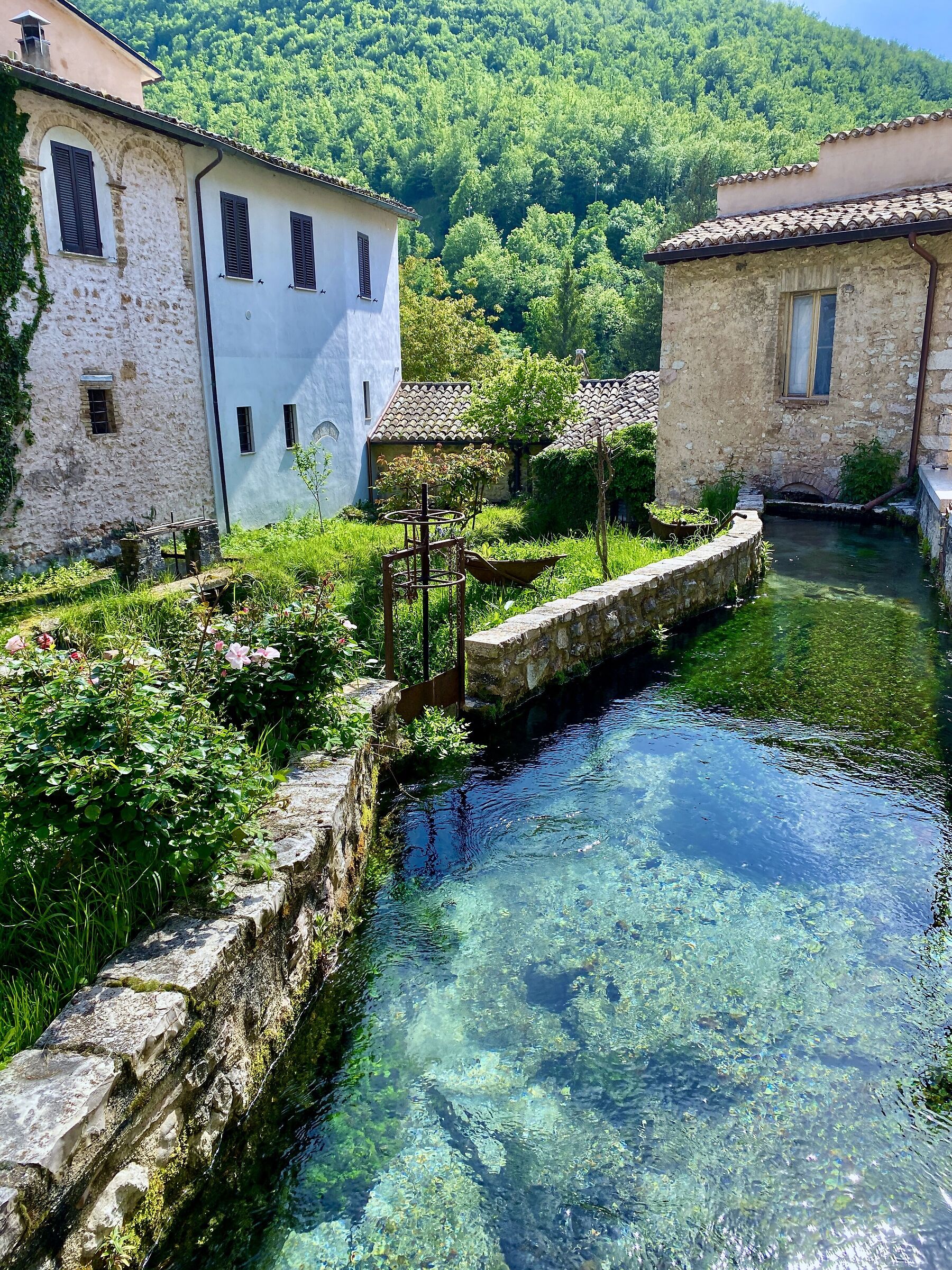 Rasiglia
