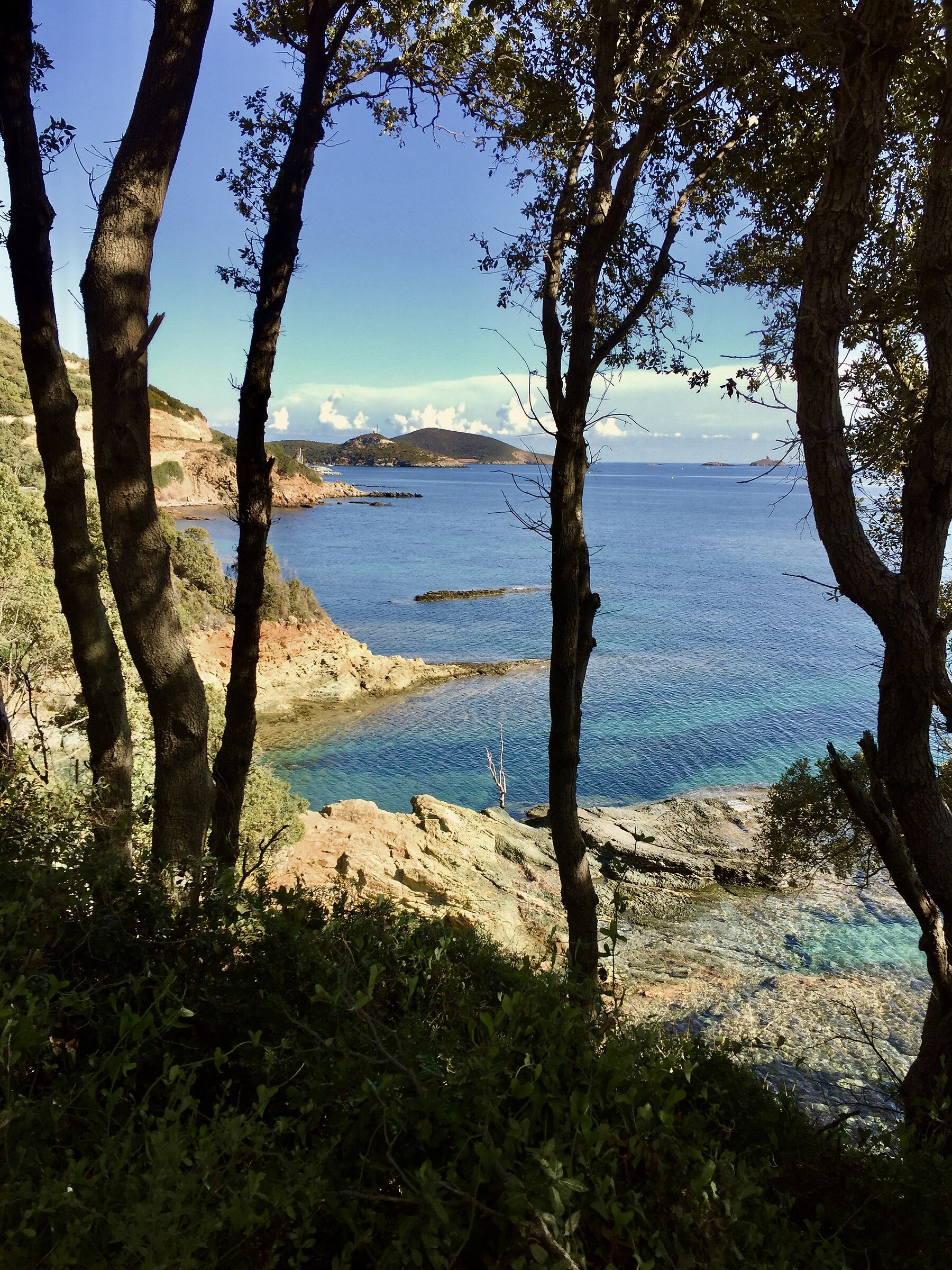 Corsica