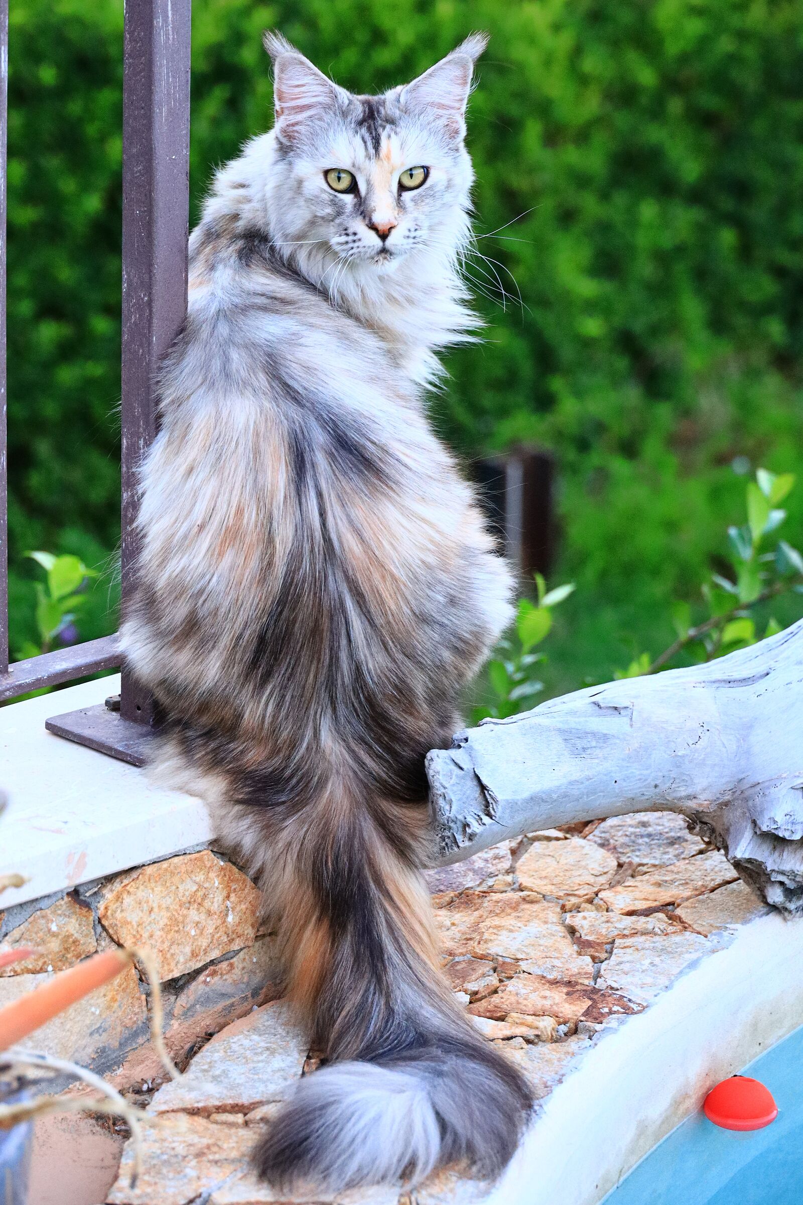 that you want from me