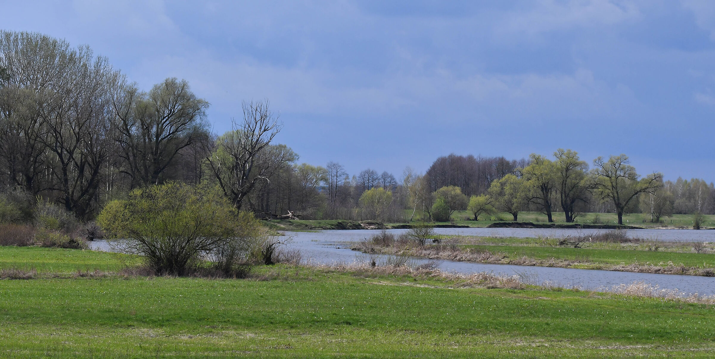 La valle del fiume Bug, 5 aprile 2024