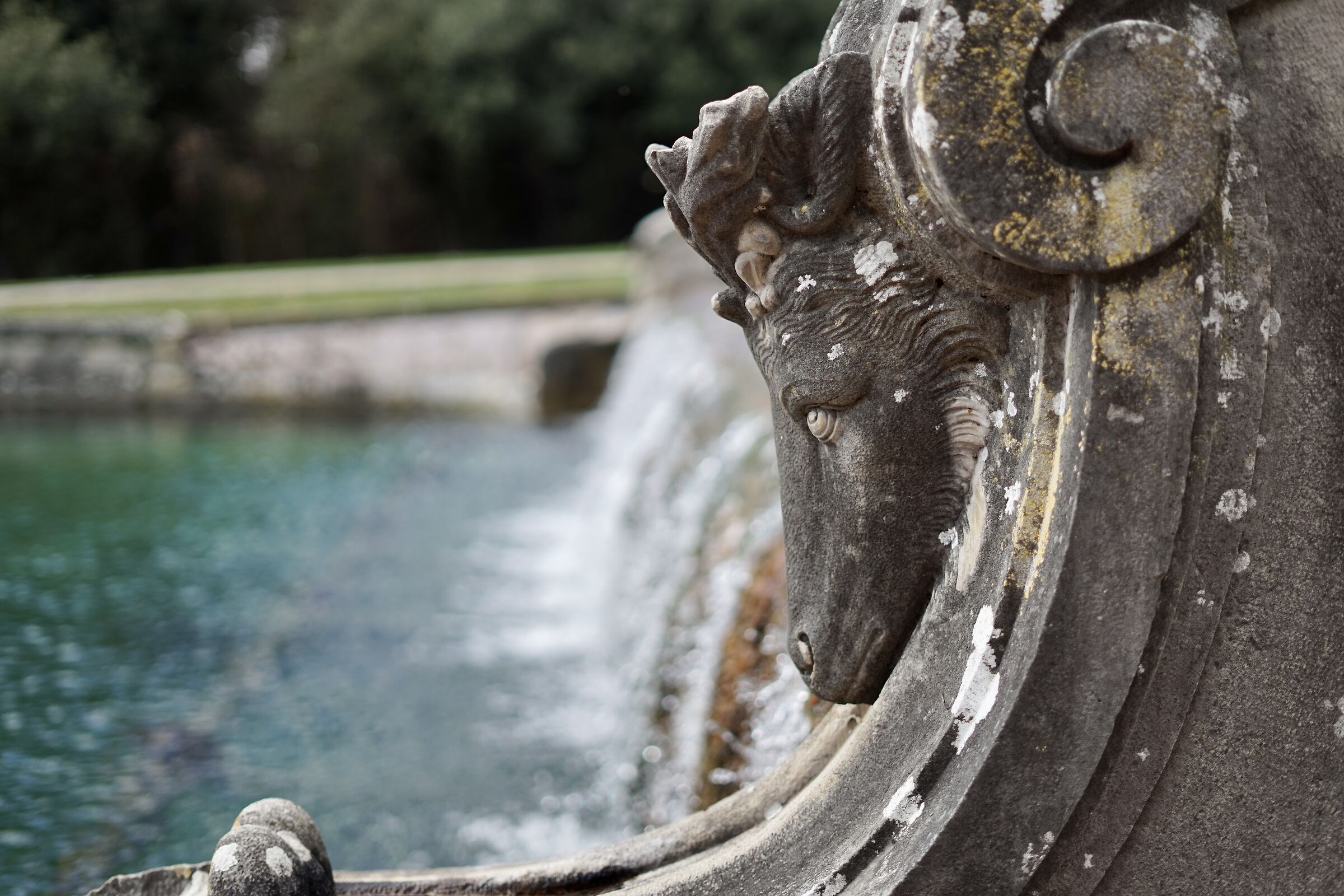 Watch me charge you!